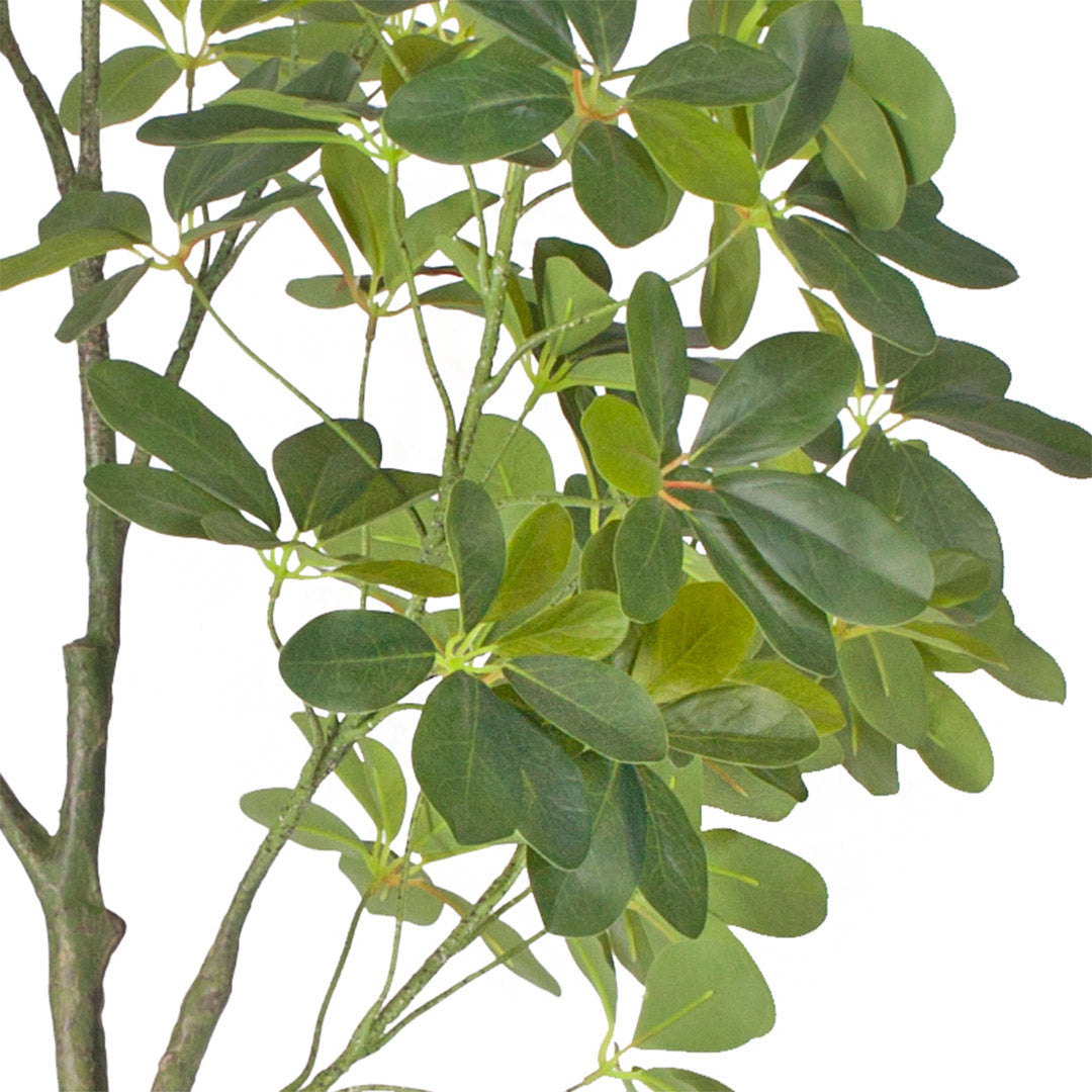 SOGA 4X 160cm Artificial Natural Green Schefflera Dwarf Umbrella Tree Fake Tropical Indoor Plant Home Office Deco