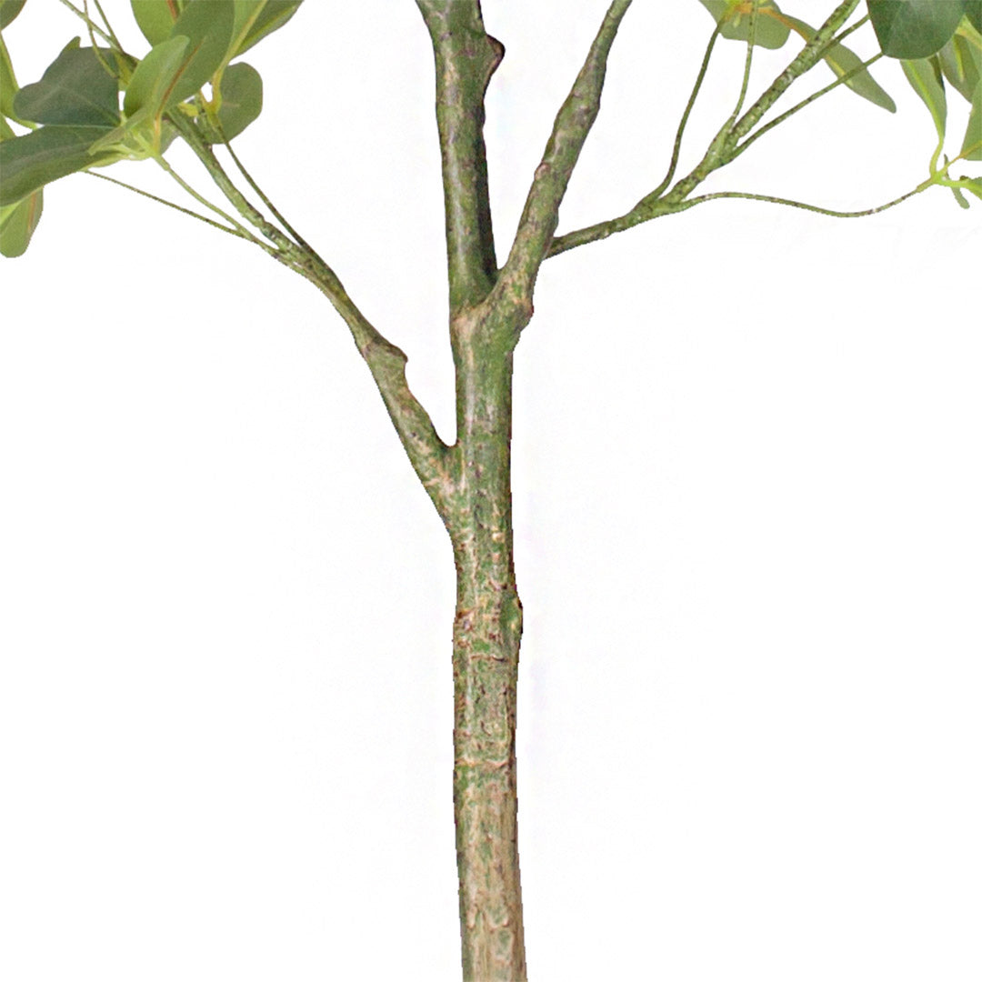 SOGA 4X 160cm Artificial Natural Green Schefflera Dwarf Umbrella Tree Fake Tropical Indoor Plant Home Office Deco