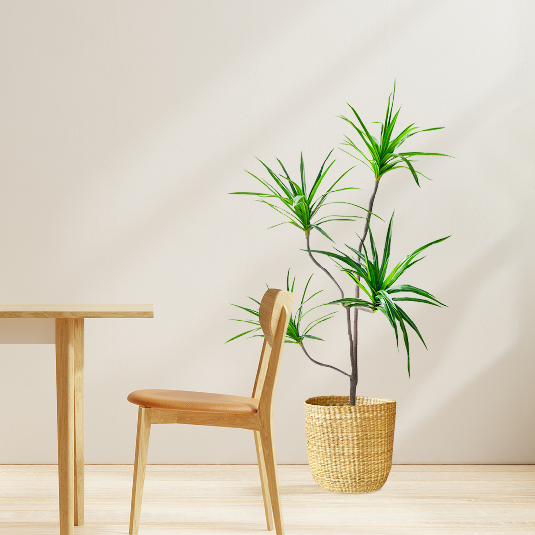SOGA 4X 180cm Realistic Artificial Dracaena, Rubberised Silk Cloth + Iron Wire, Home Decor