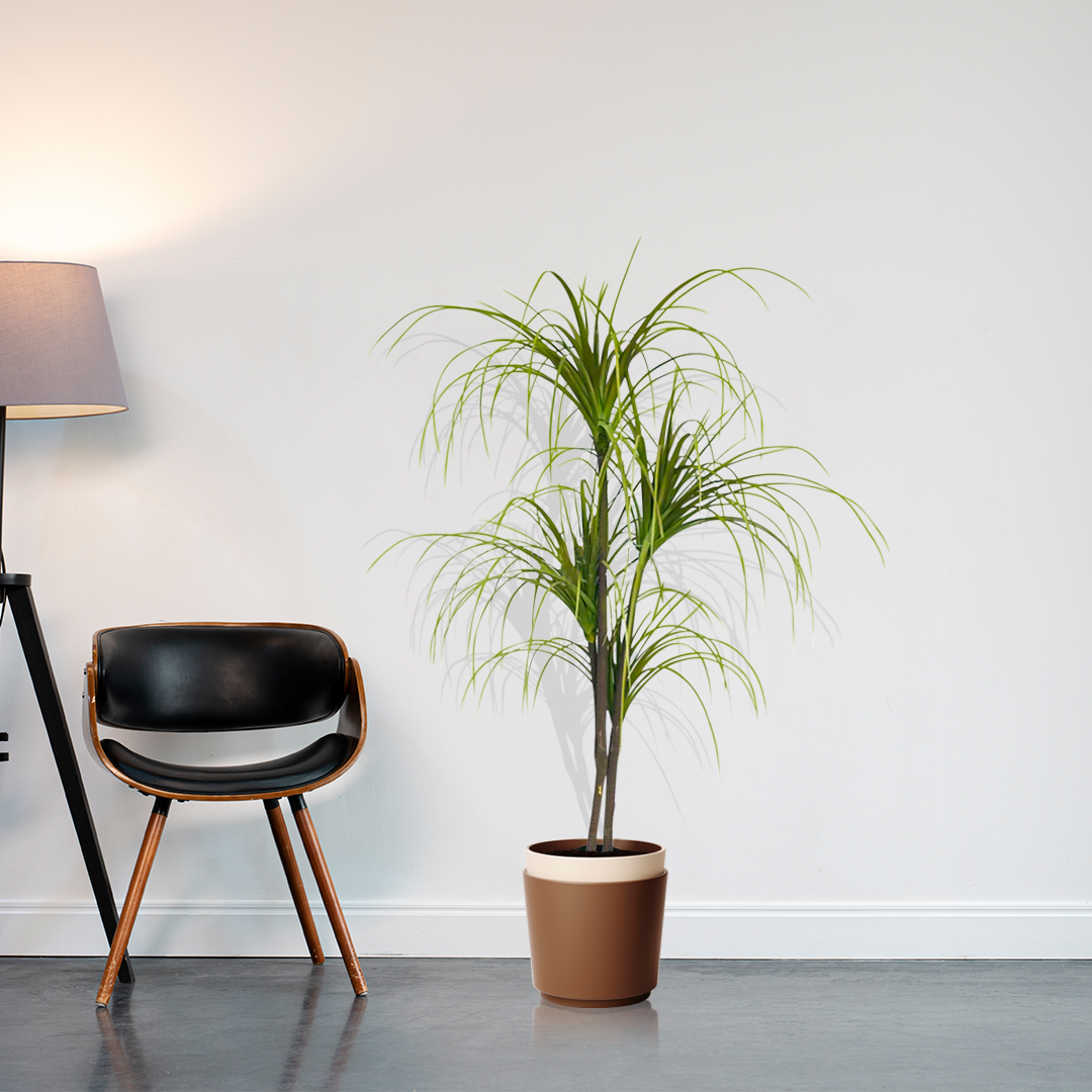 SOGA 4X 150cm Artificial Dracaena Plant Fake Potted, Simulation Tree Fake Plant Home Decor