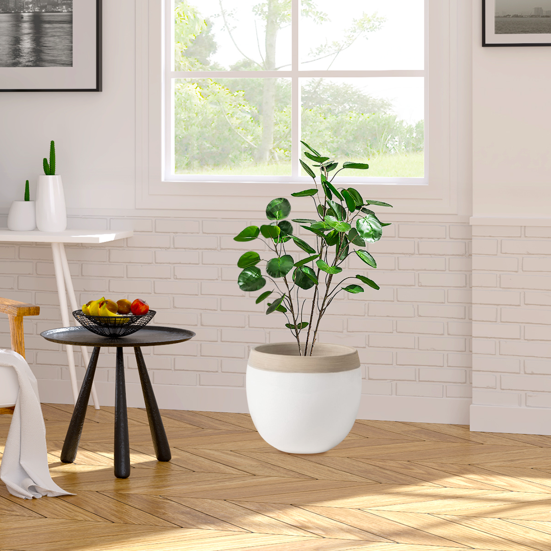 SOGA 4X 180cm Plastic Potted Polyscias Scutellaria Plant Home Garden Artificial Tree, Home Decor