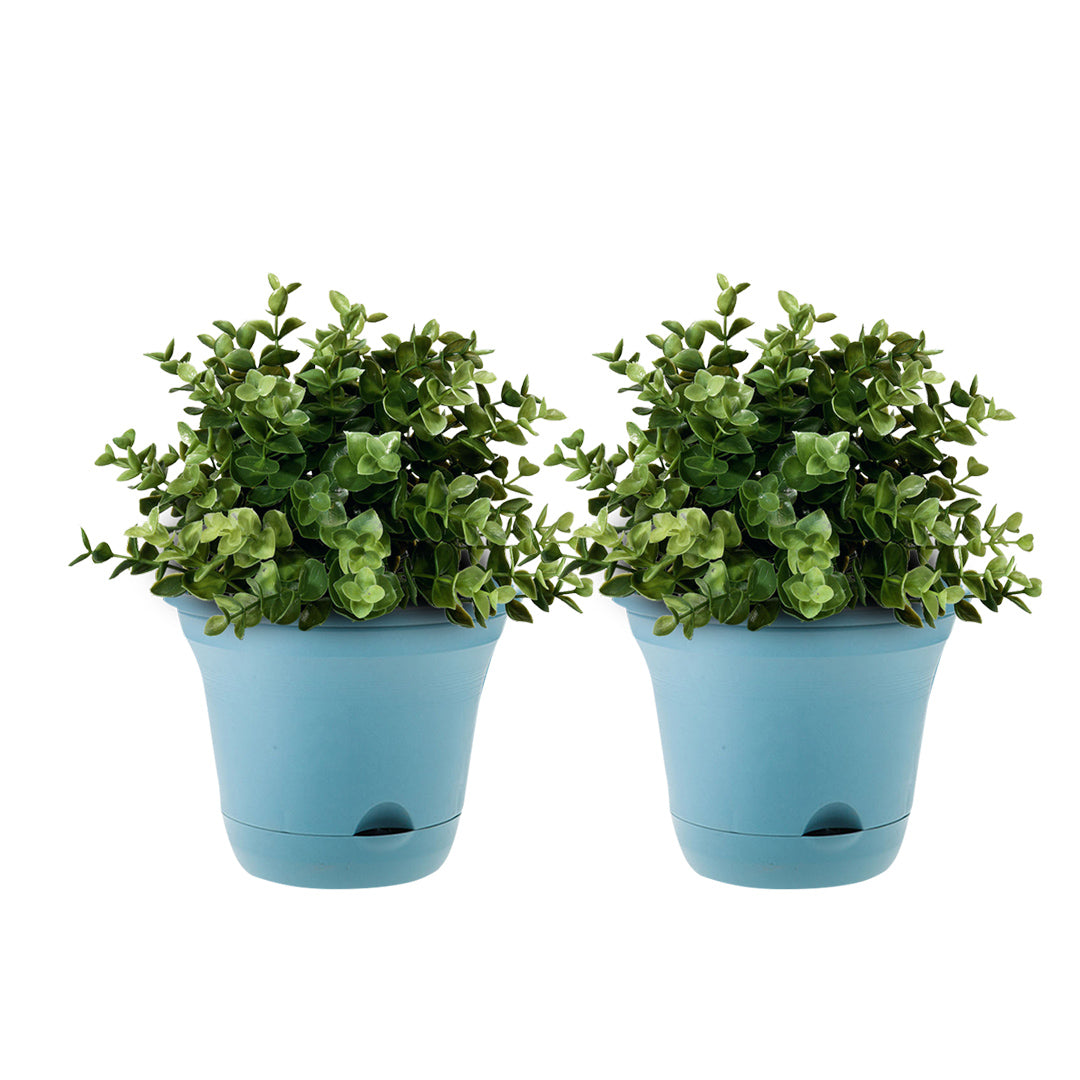 Plastic Plant Pot