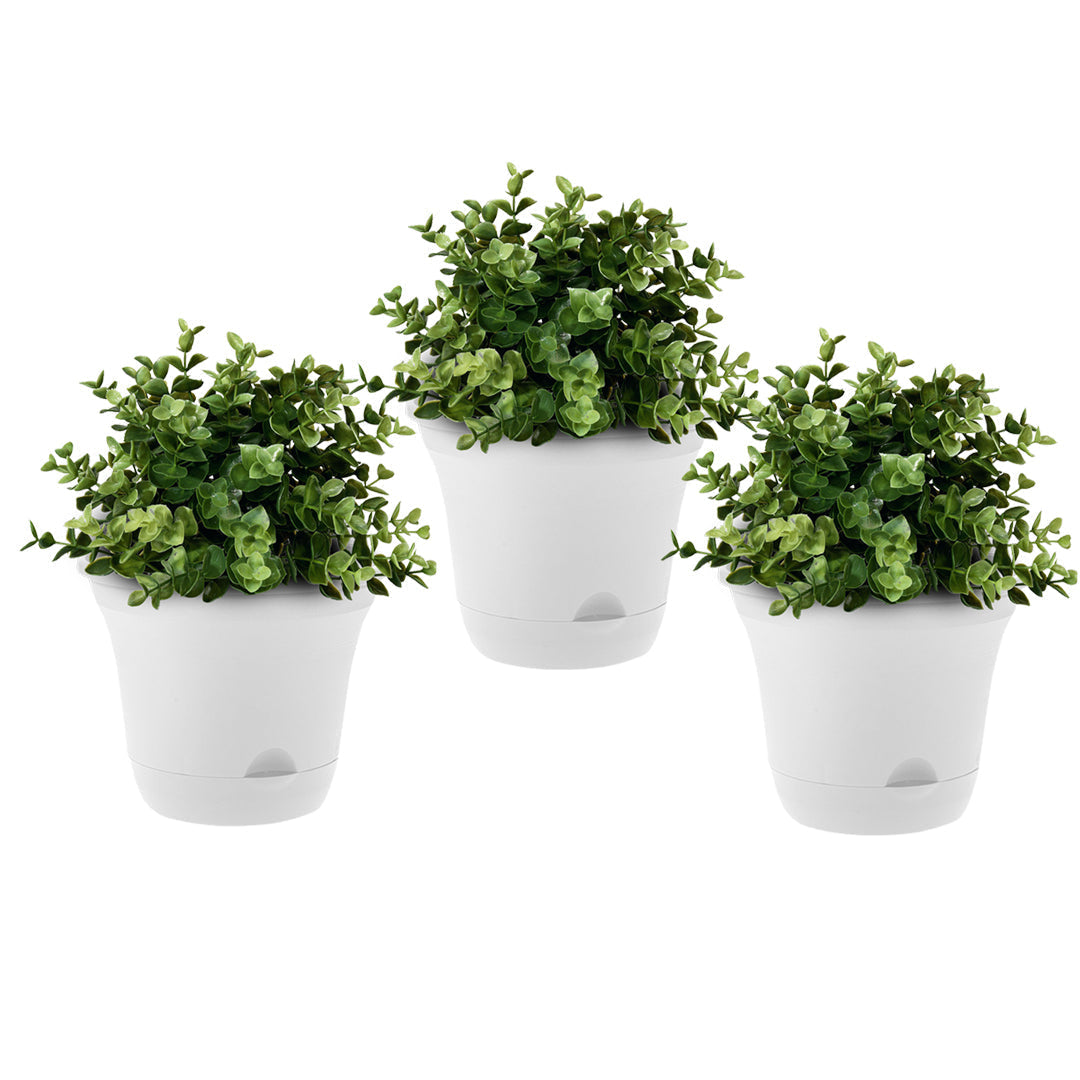 Plastic Plant Pot