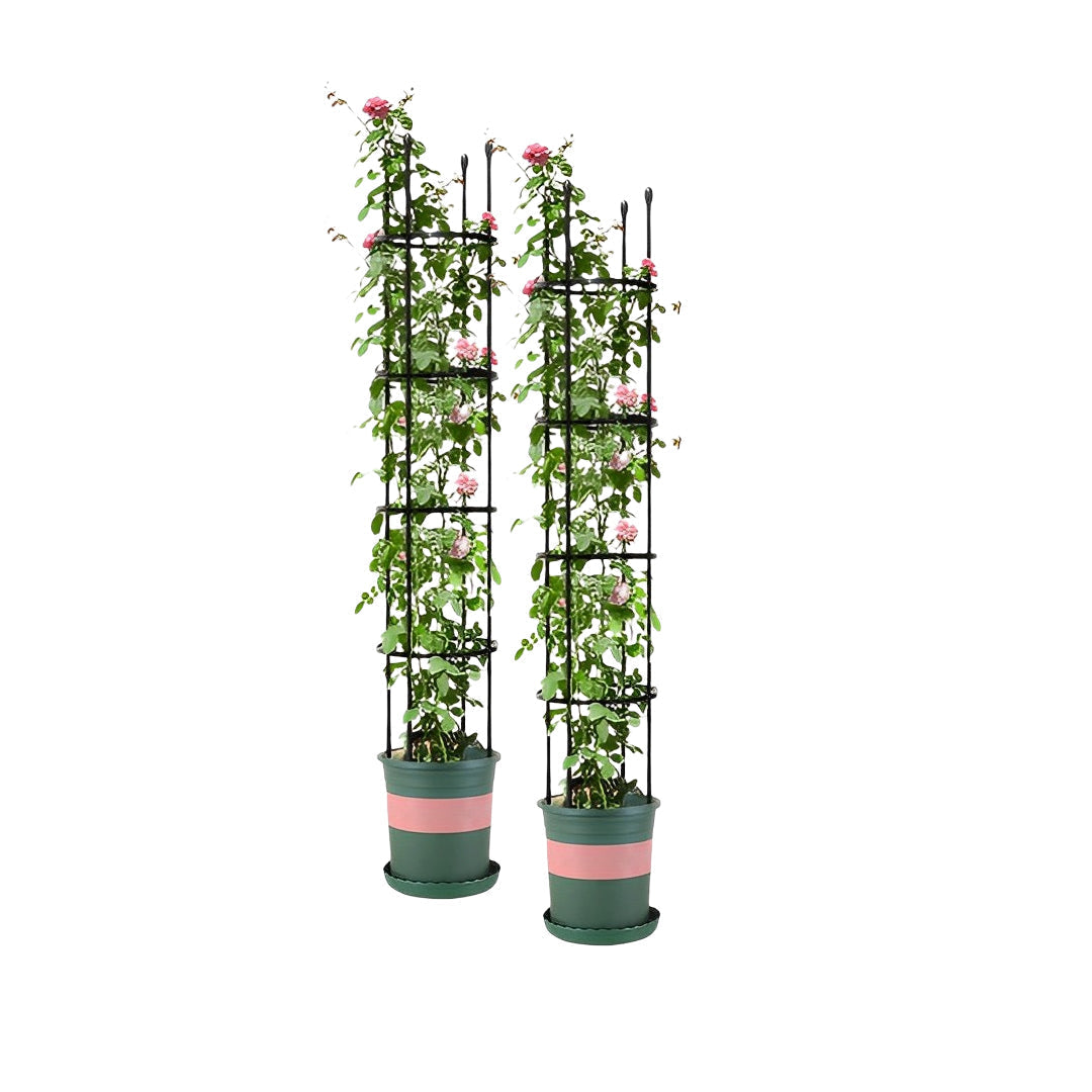 SOGA 2X 163cm 4-Bar Plant Frame Stand Trellis Vegetable Flower Herbs Outdoor Vine Support Garden Rack with Rings