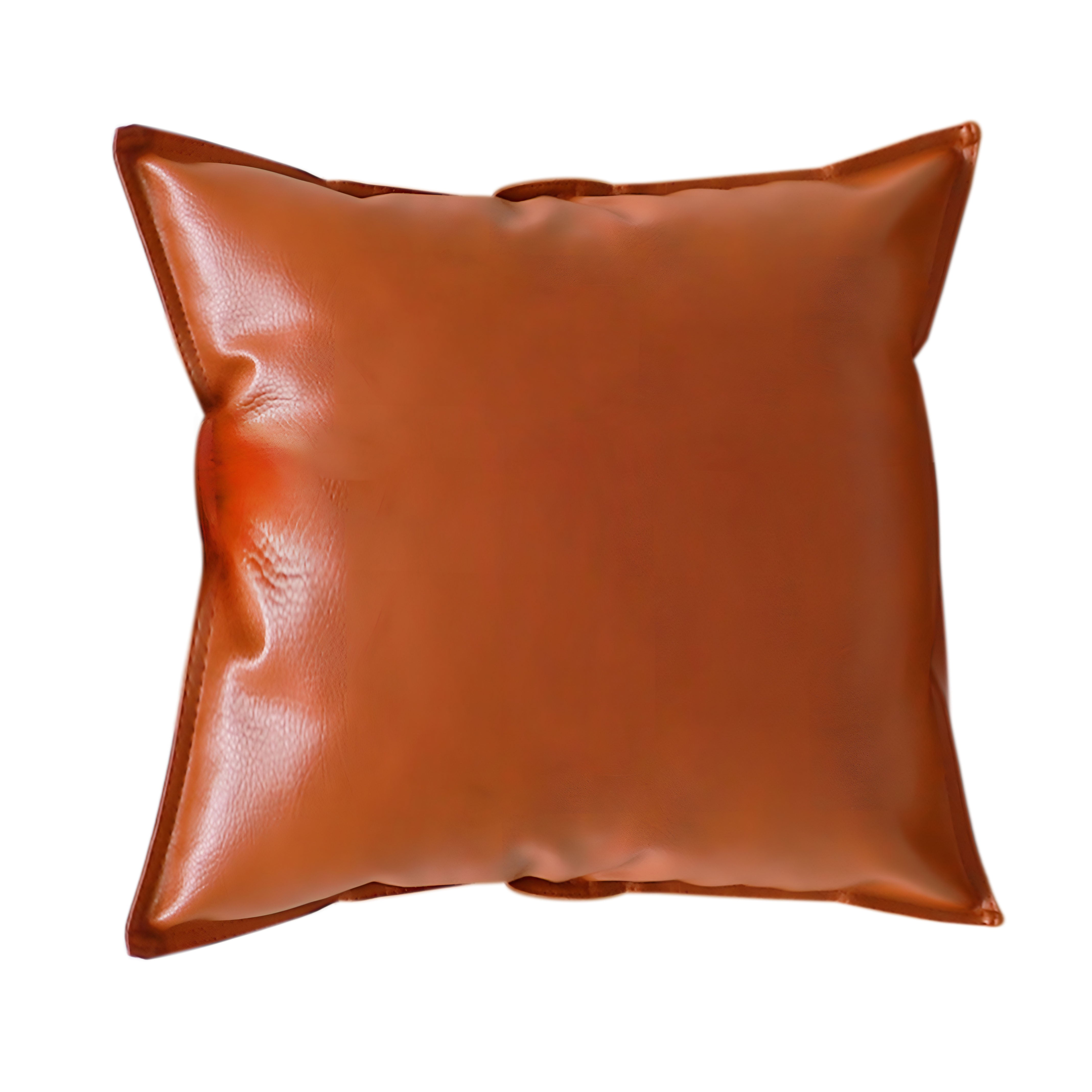 Luxury Leather Throw Pillow