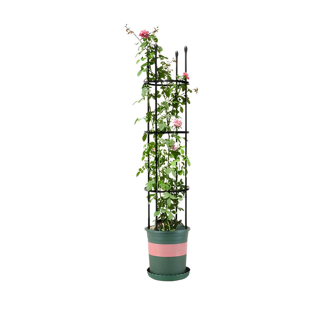 Plant Frame Trellis