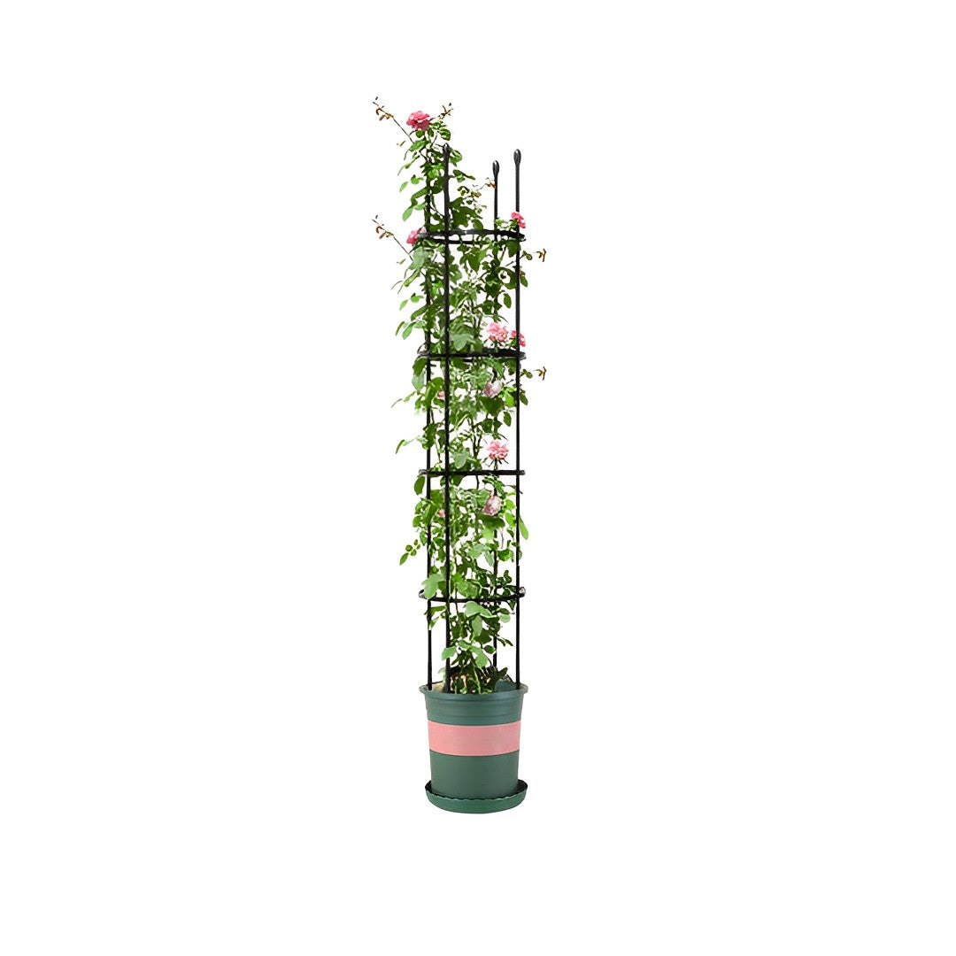 Plant Frame Trellis