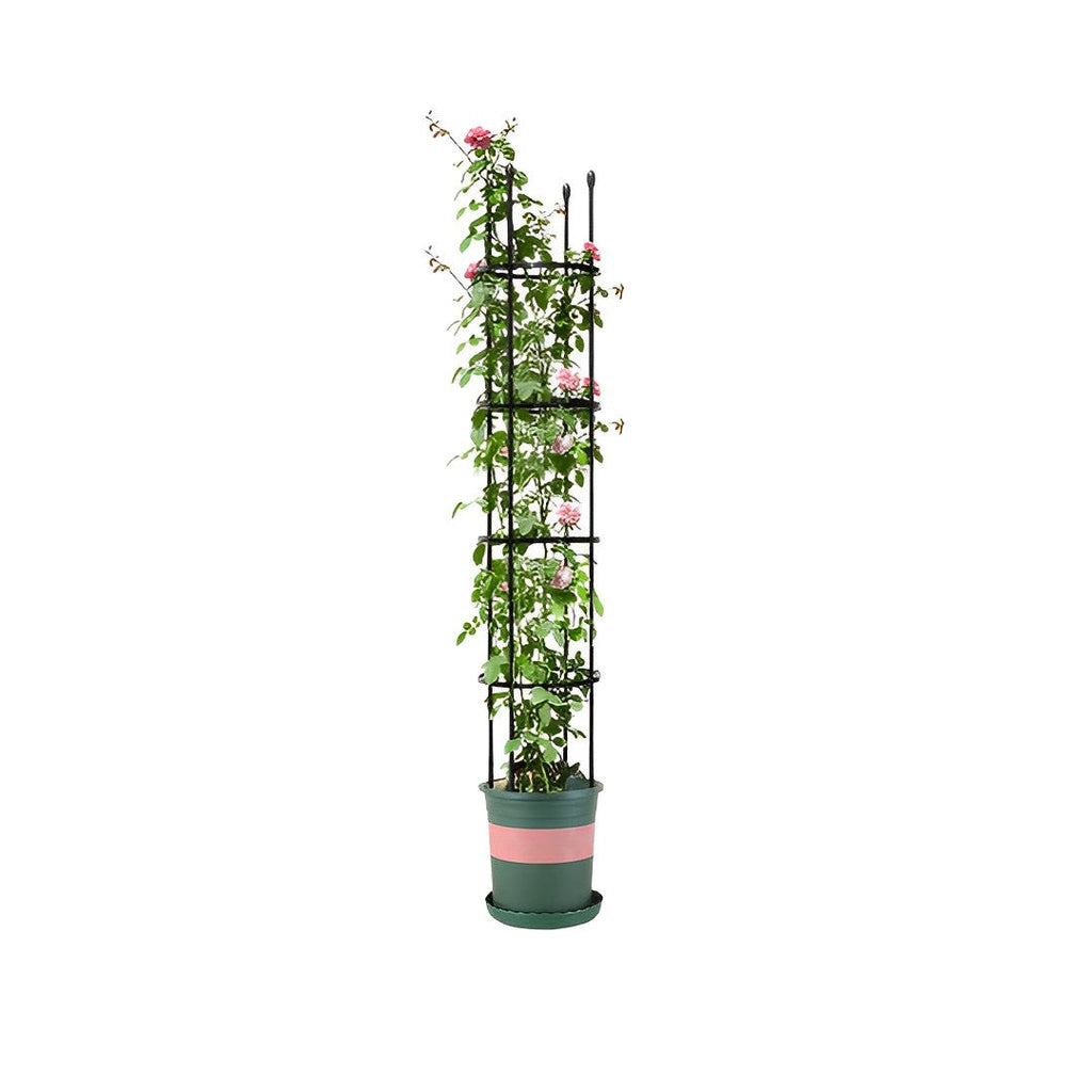 Plant Frame Trellis