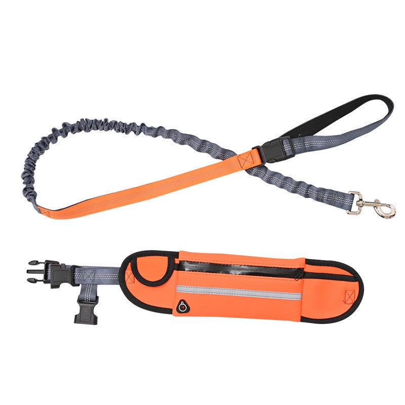 Pet Leash