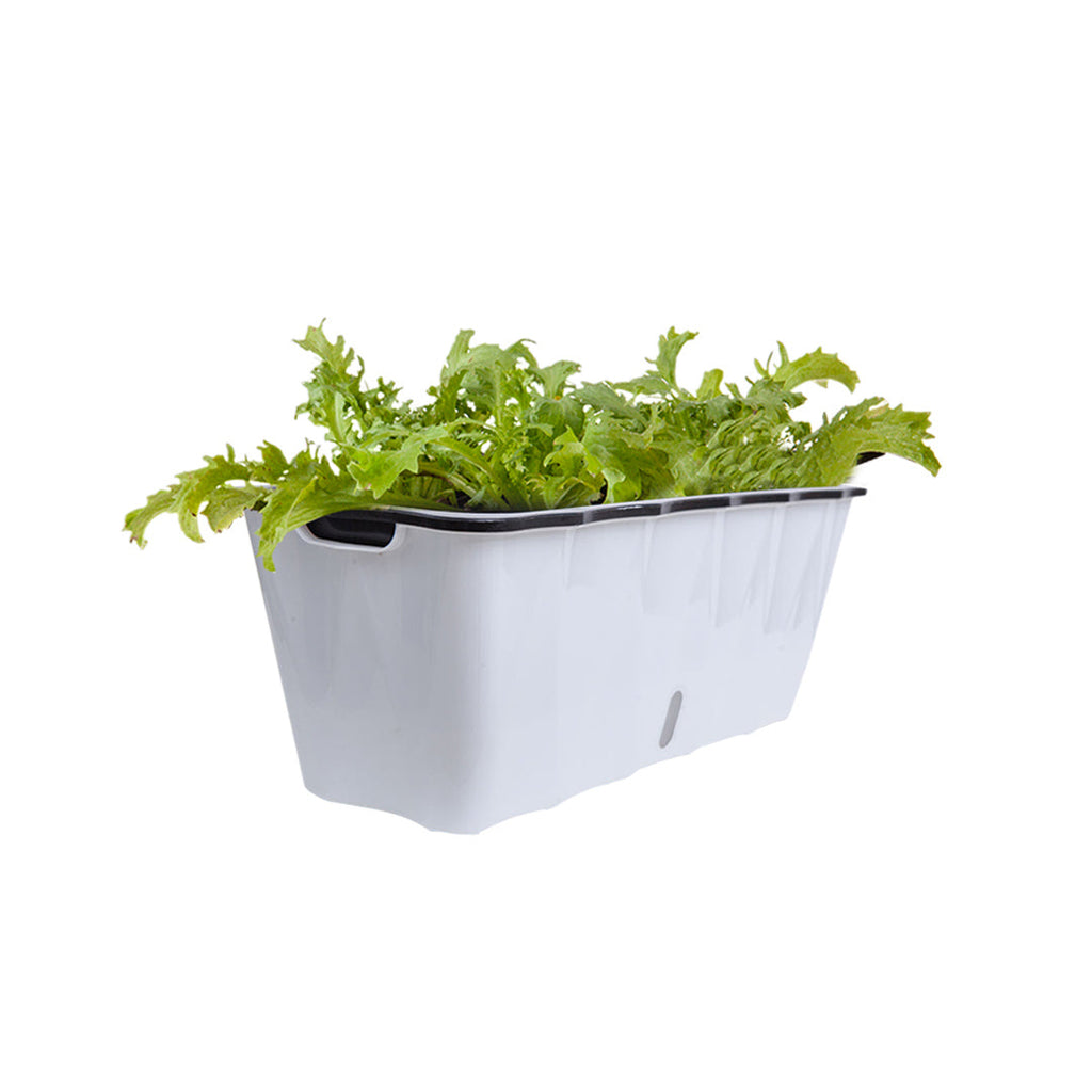 White Flowerpot