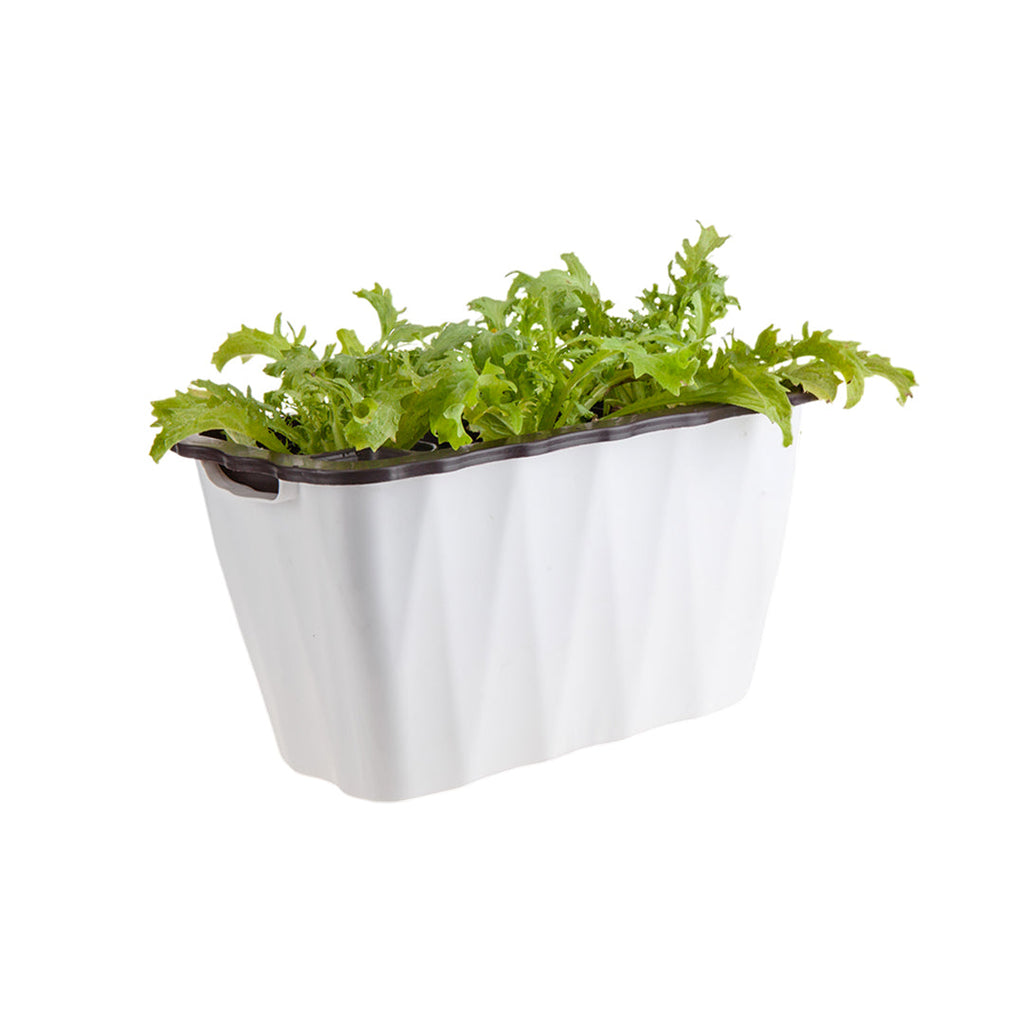 White Flowerpot