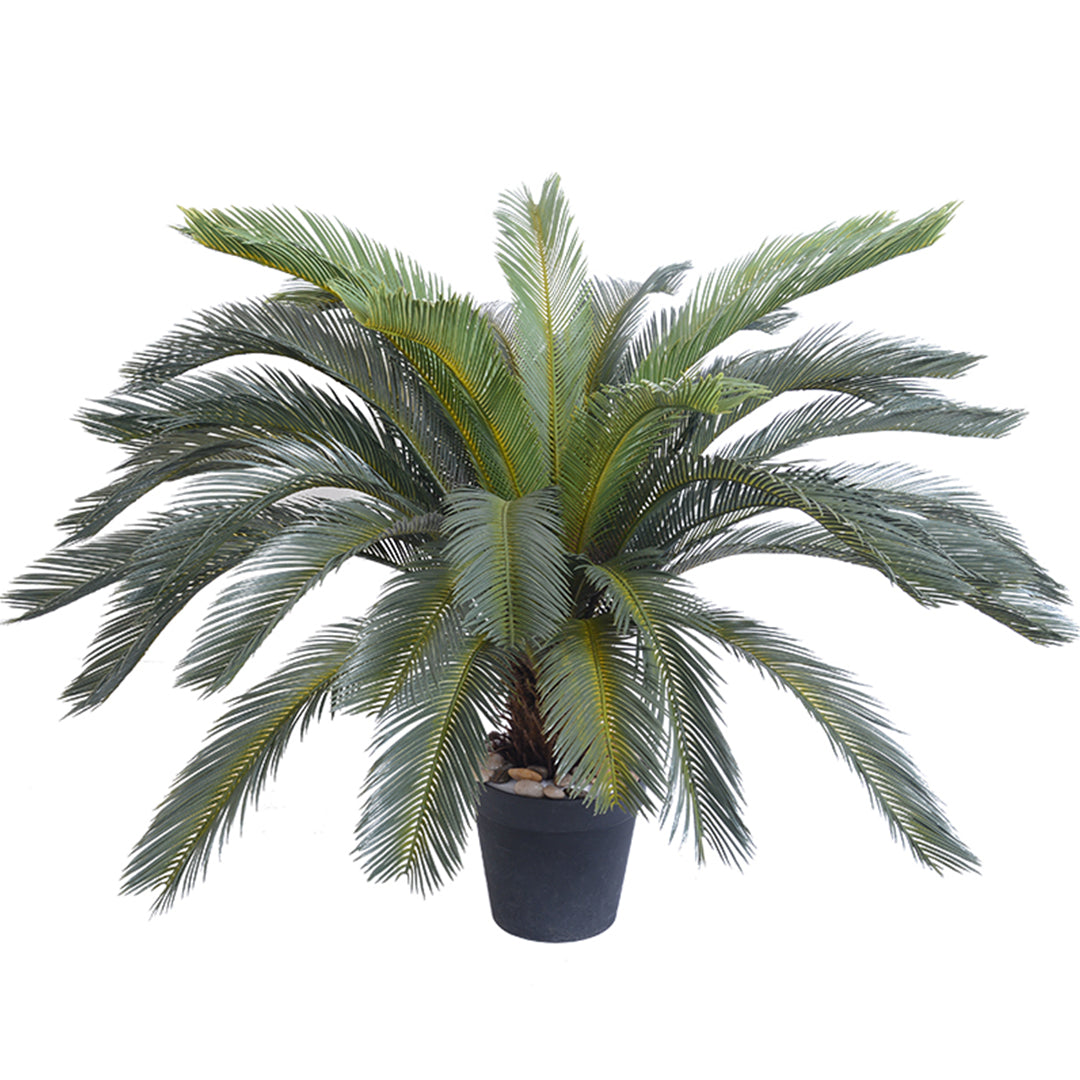 Artificial Cycas Revoluta