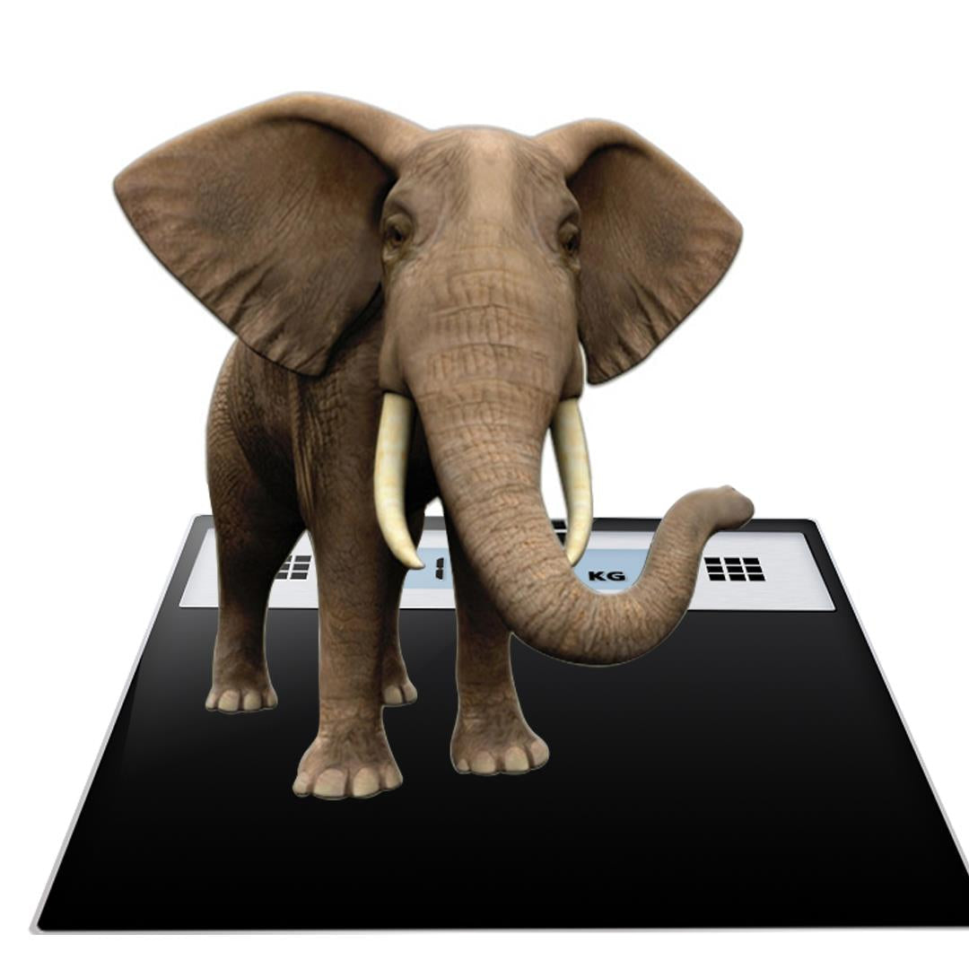 Black Electronic Talking Scale