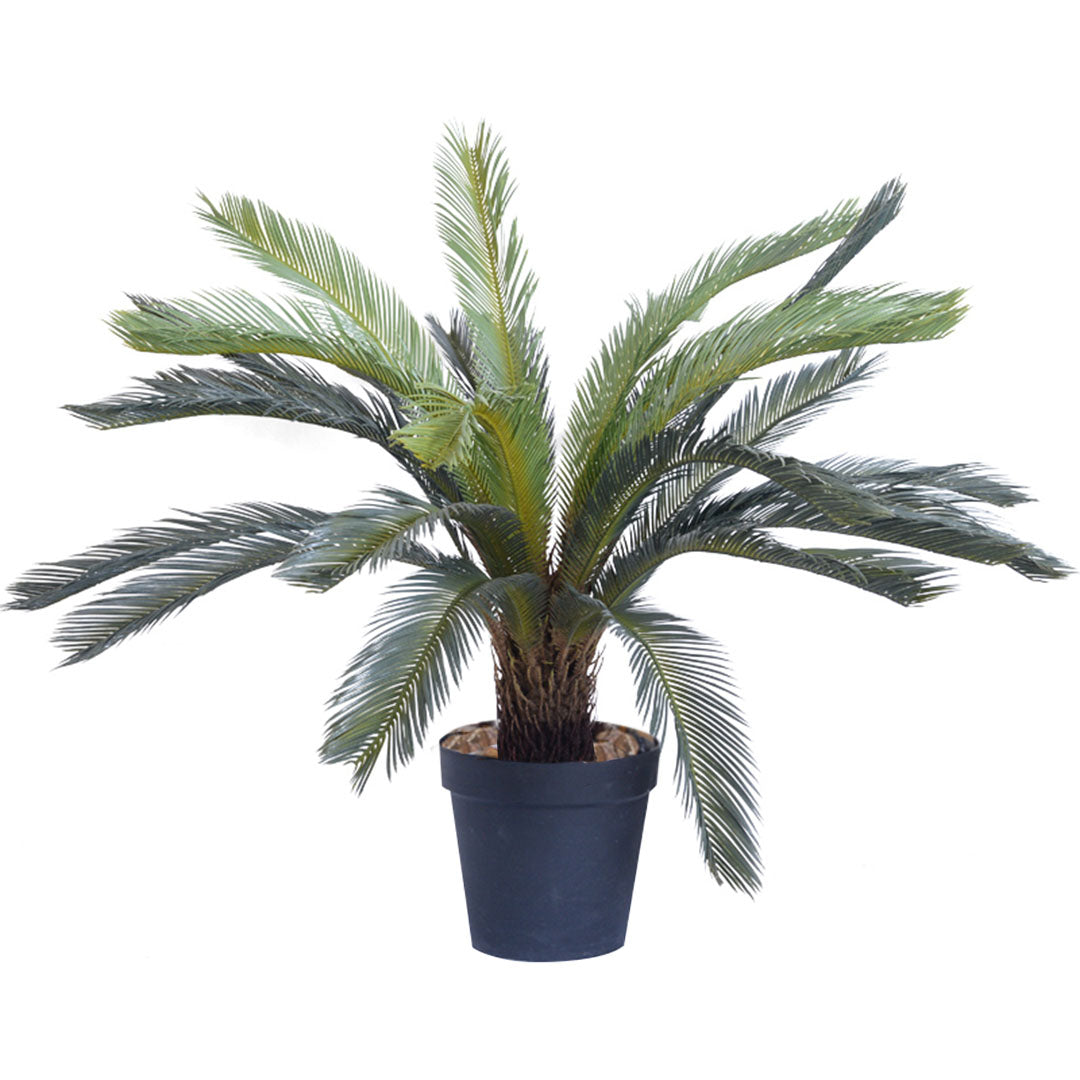 Artificial Cycas Revoluta