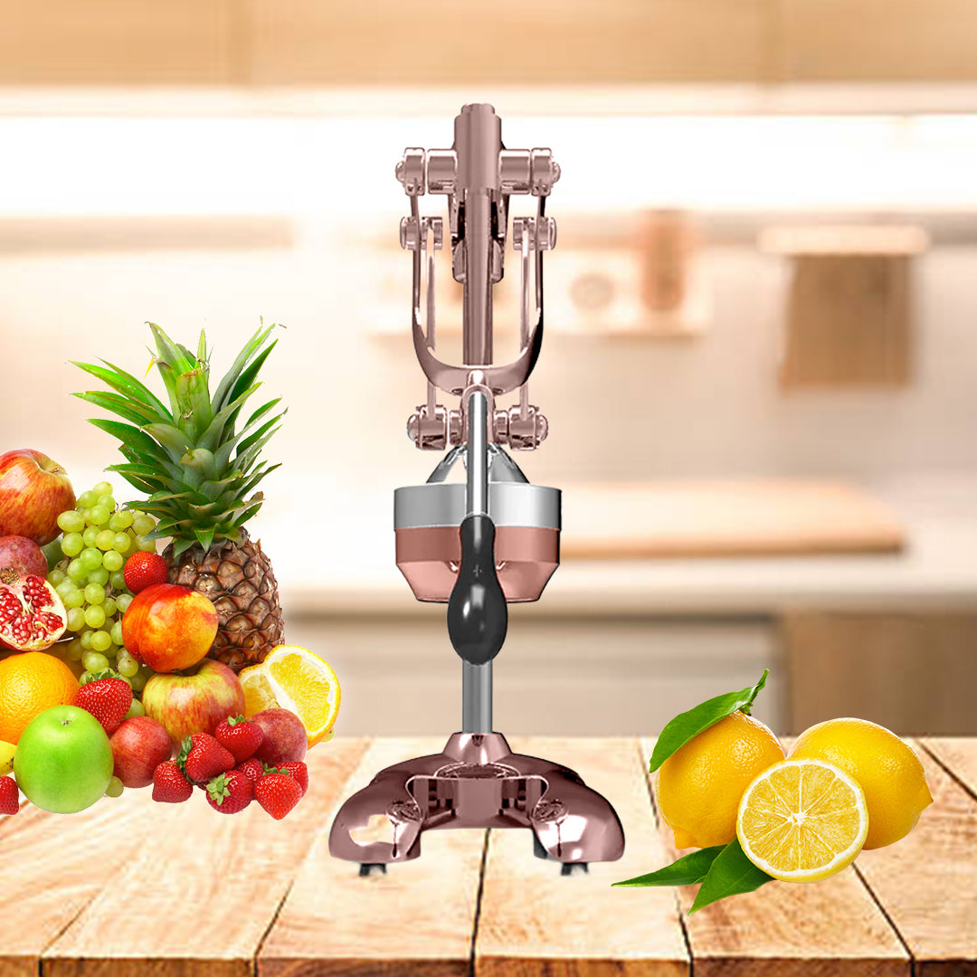 Stainless Steel Manual Juicer