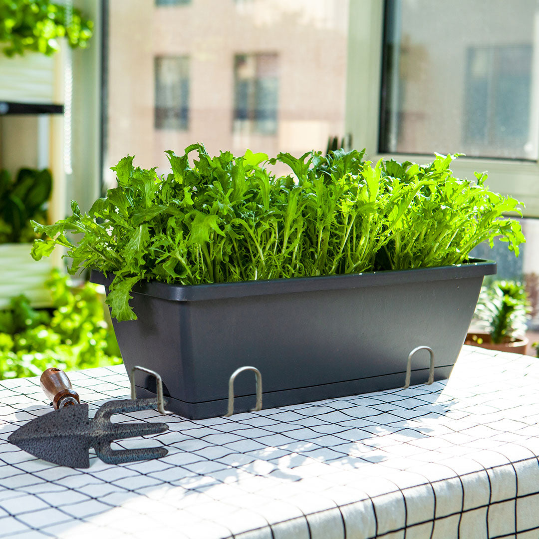 Rectangular Planter