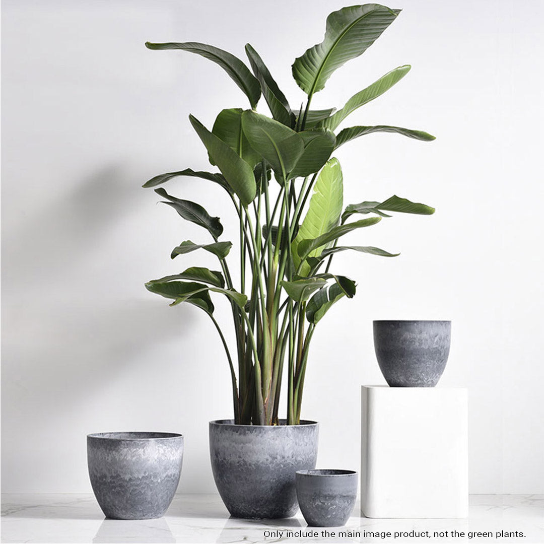 Cement Pattern Tapered Planter