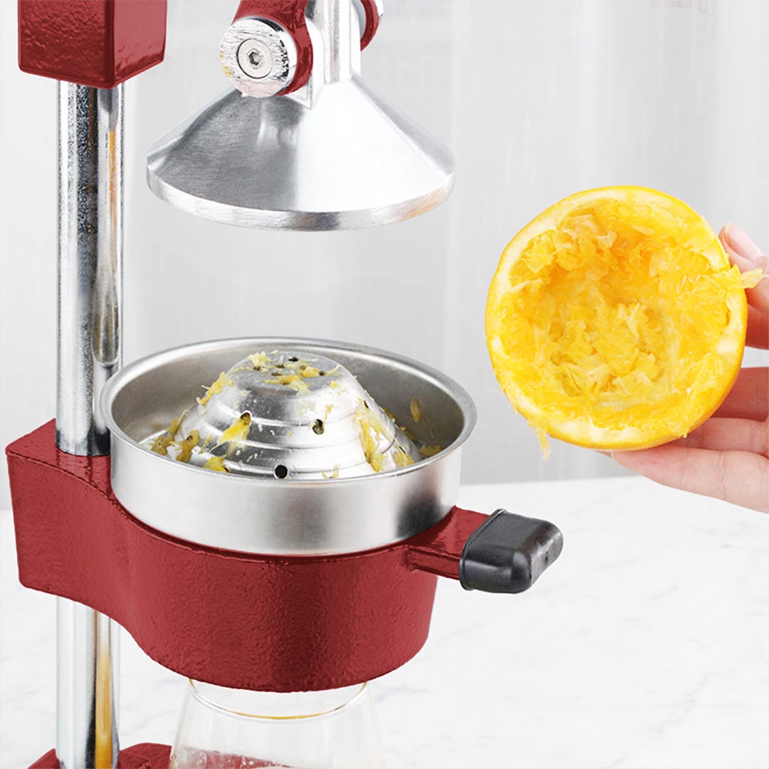 Manual Fruit Juicer