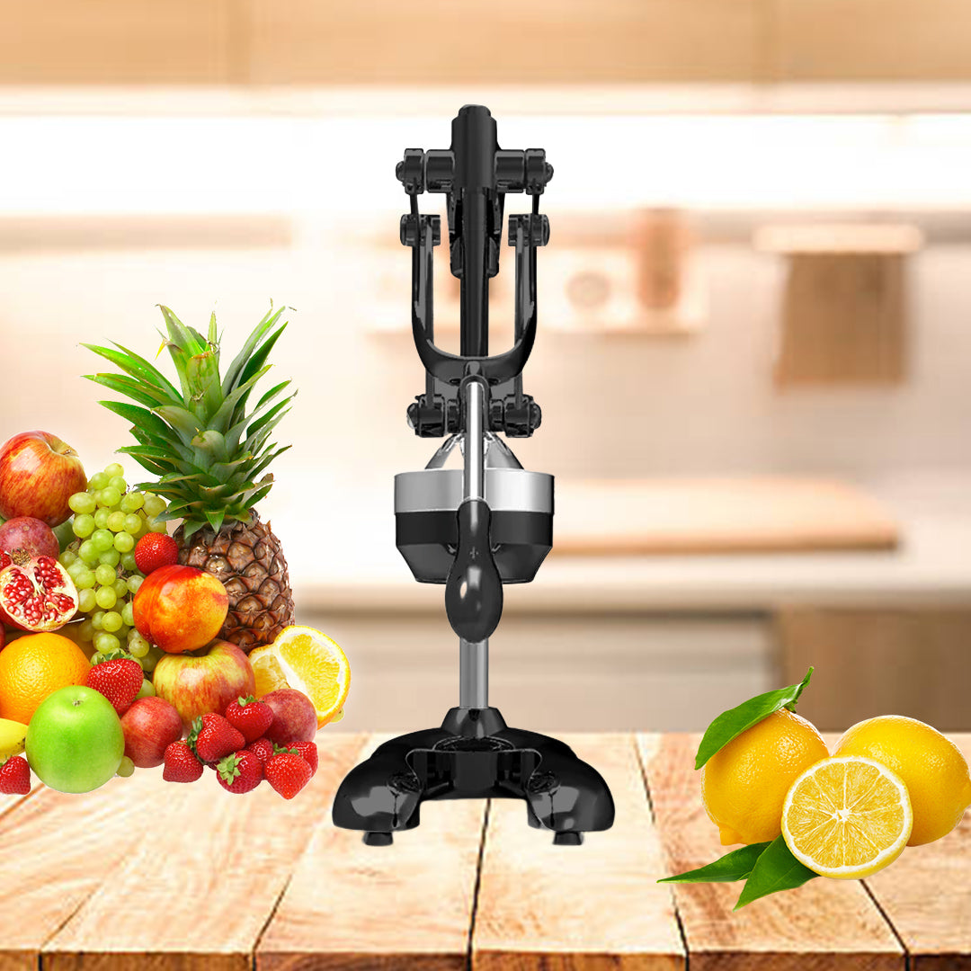 Stainless Steel Manual Juicer