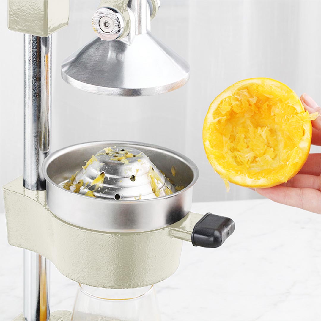 Manual Fruit Juicer