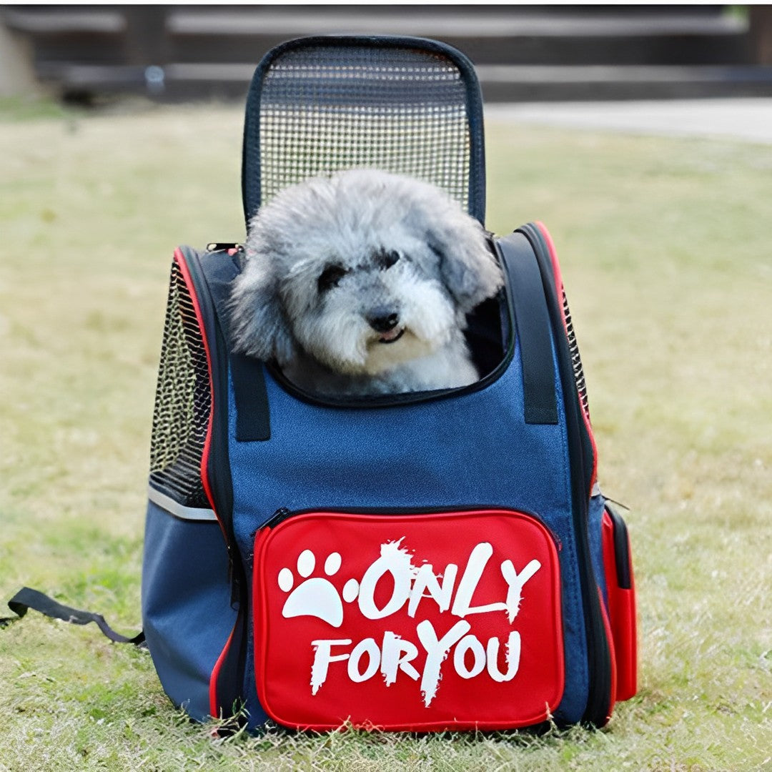 Pet Backpack Carrier