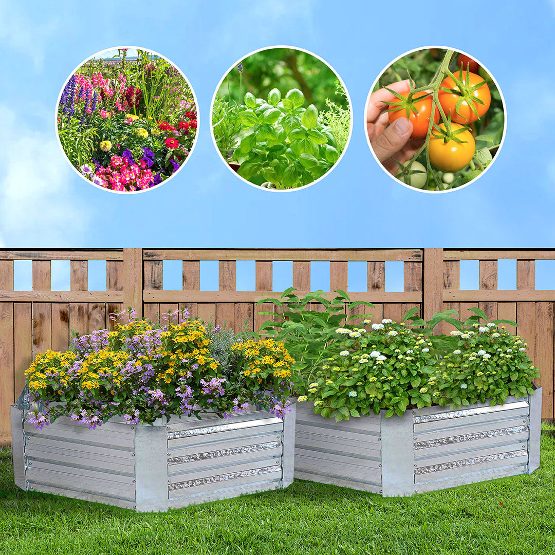Hexagonal Raised Garden Bed