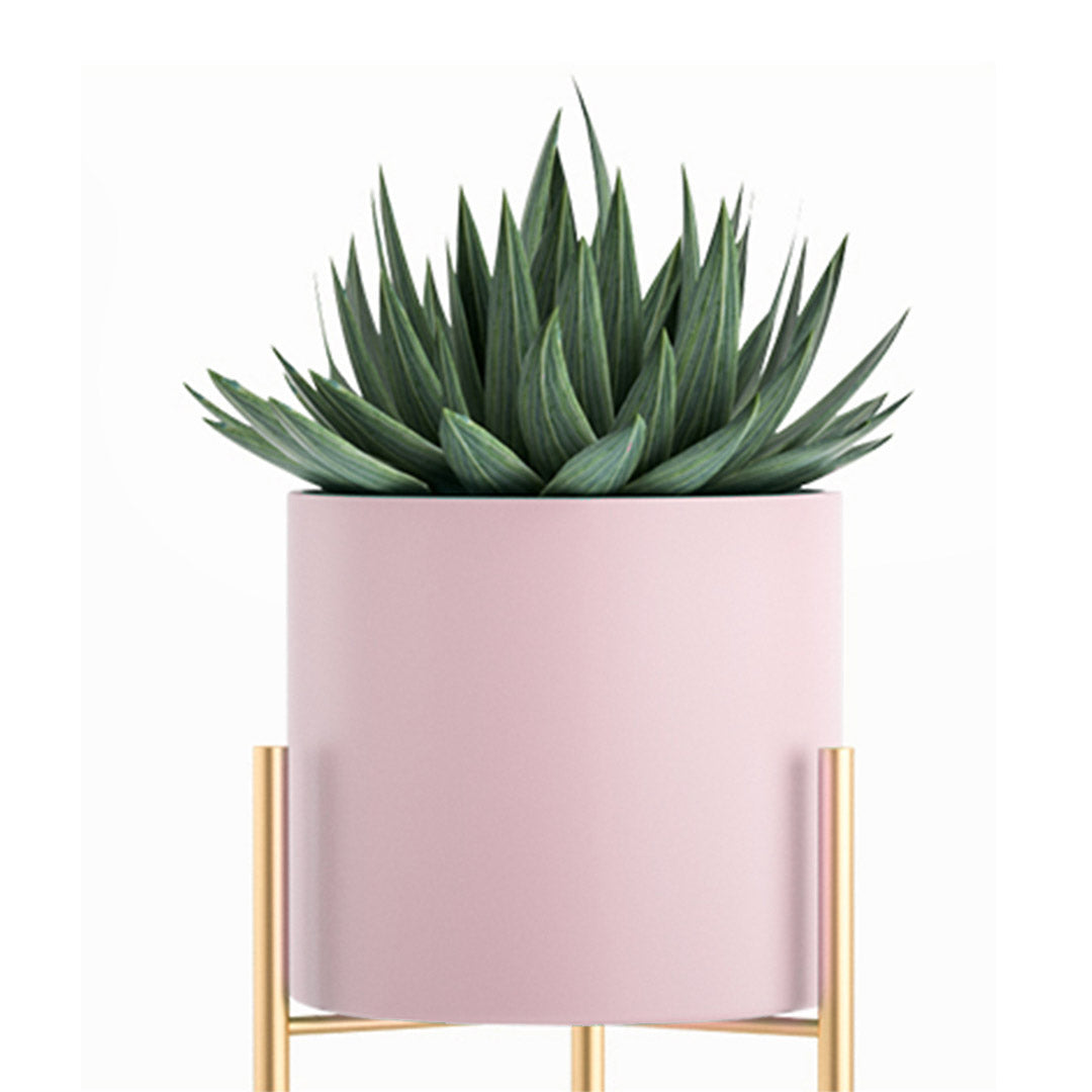 Pink Plant Stand