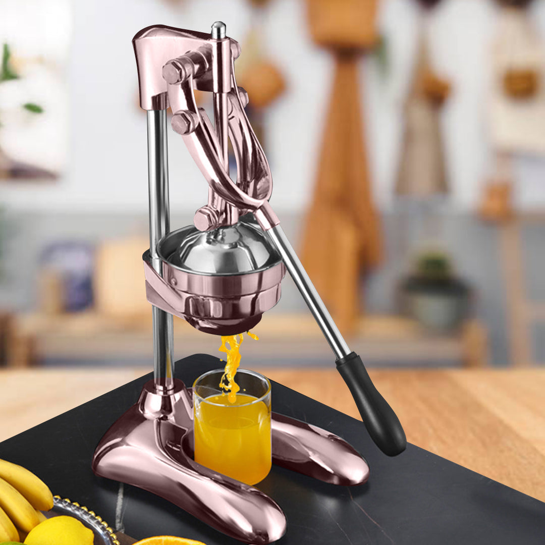 Stainless Steel Manual Juicer