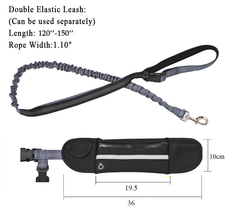 Pet Leash