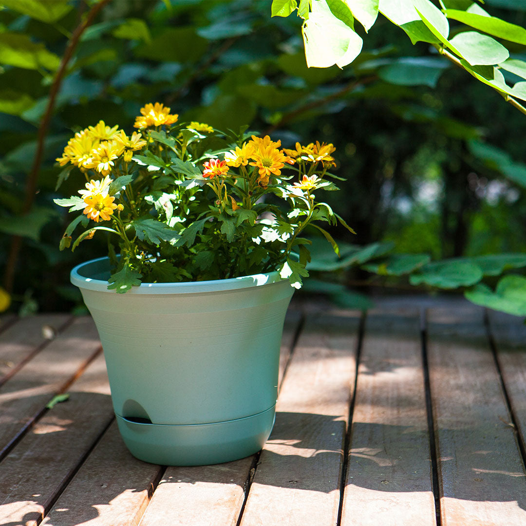 Plastic Plant Pot