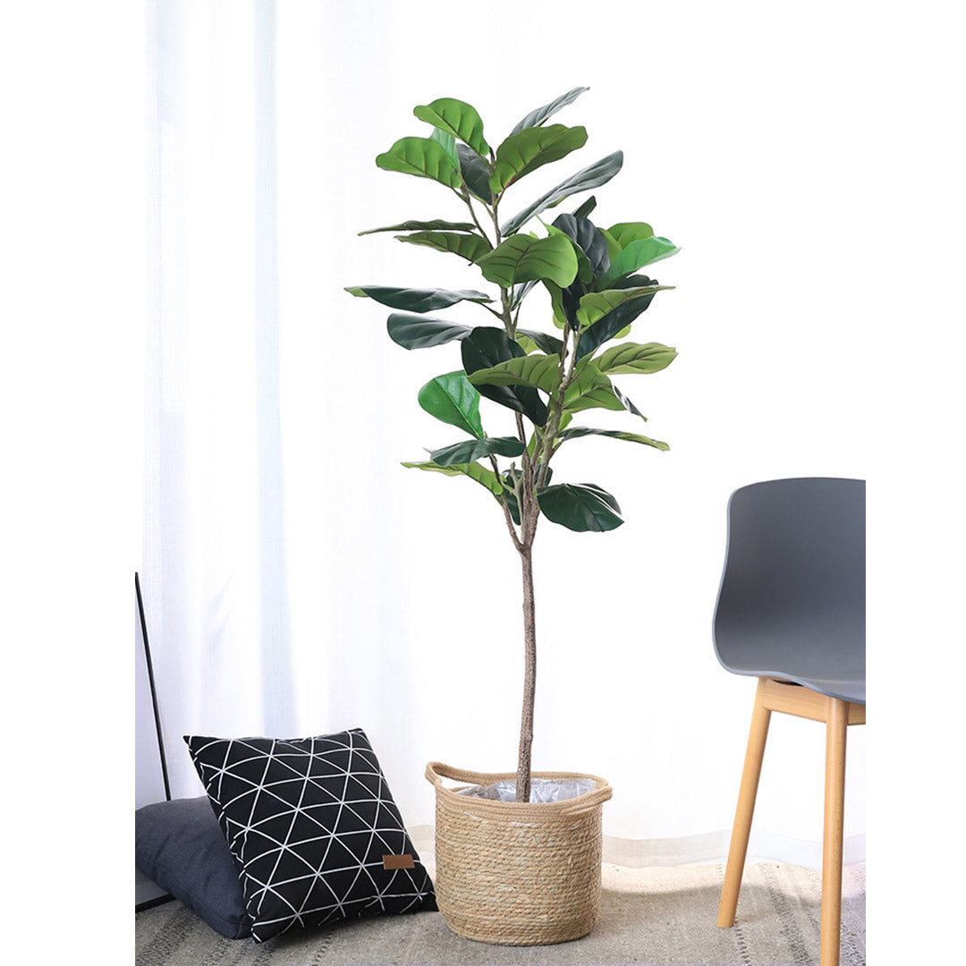 SOGA 4X 155cm Green Artificial Indoor Qin Yerong Tree Fake Plant Simulation Decorative