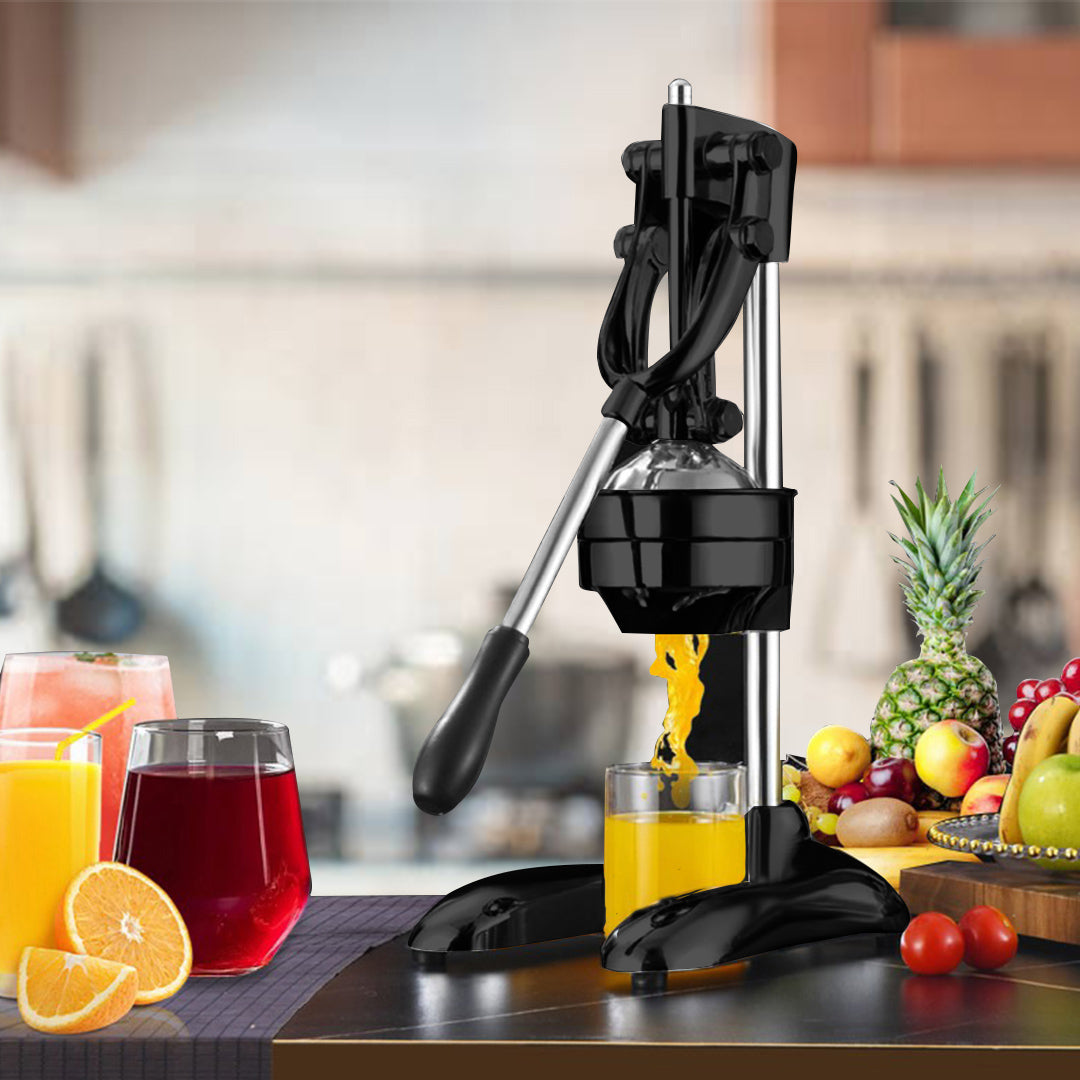 Stainless Steel Manual Juicer