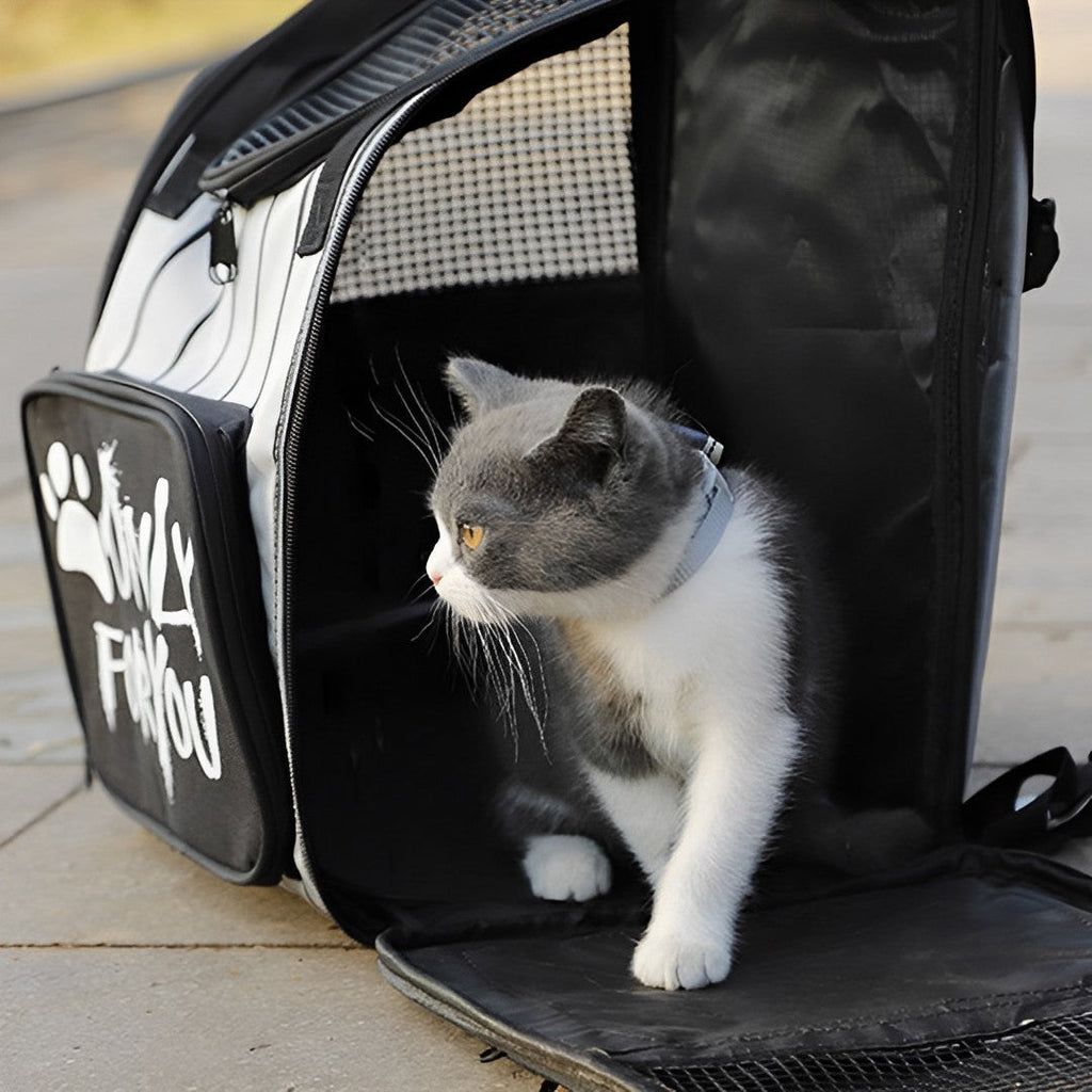 Pet Backpack Carrier