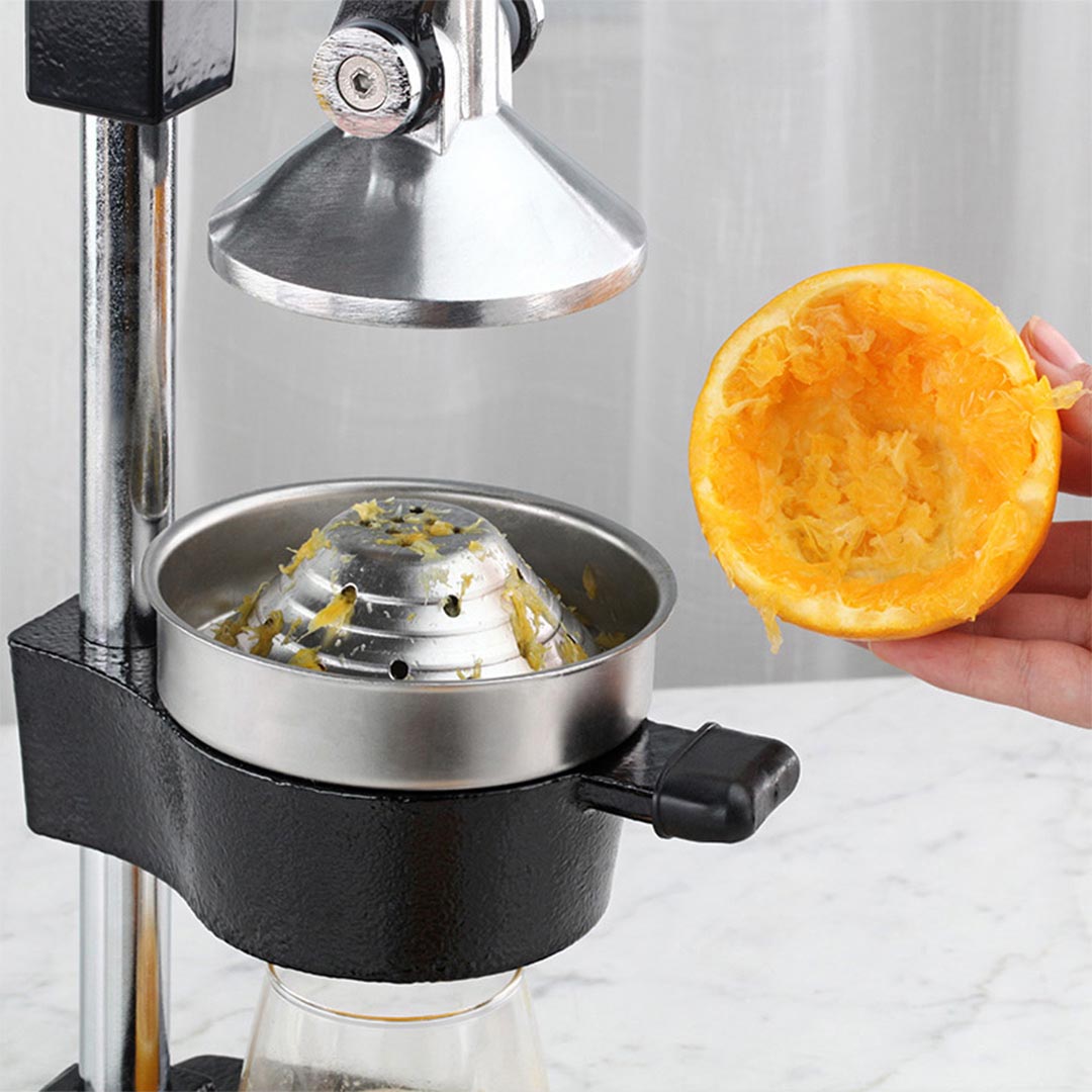 Manual Fruit Juicer