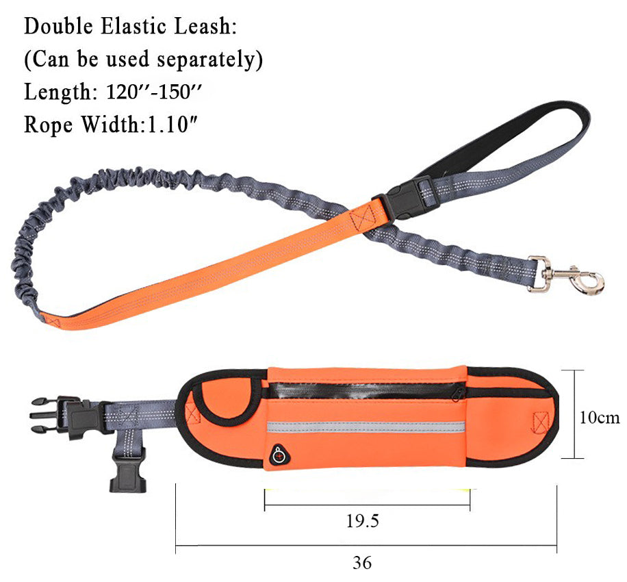 Pet Leash