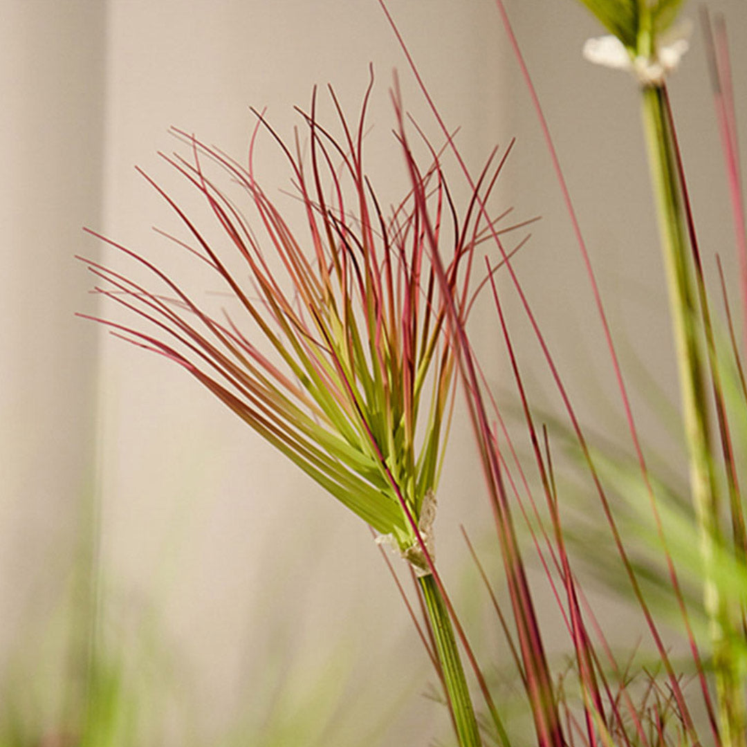 Artificial Potted Papyrus Plant