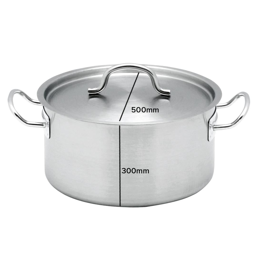 Stainless Steel Wide Stockpot