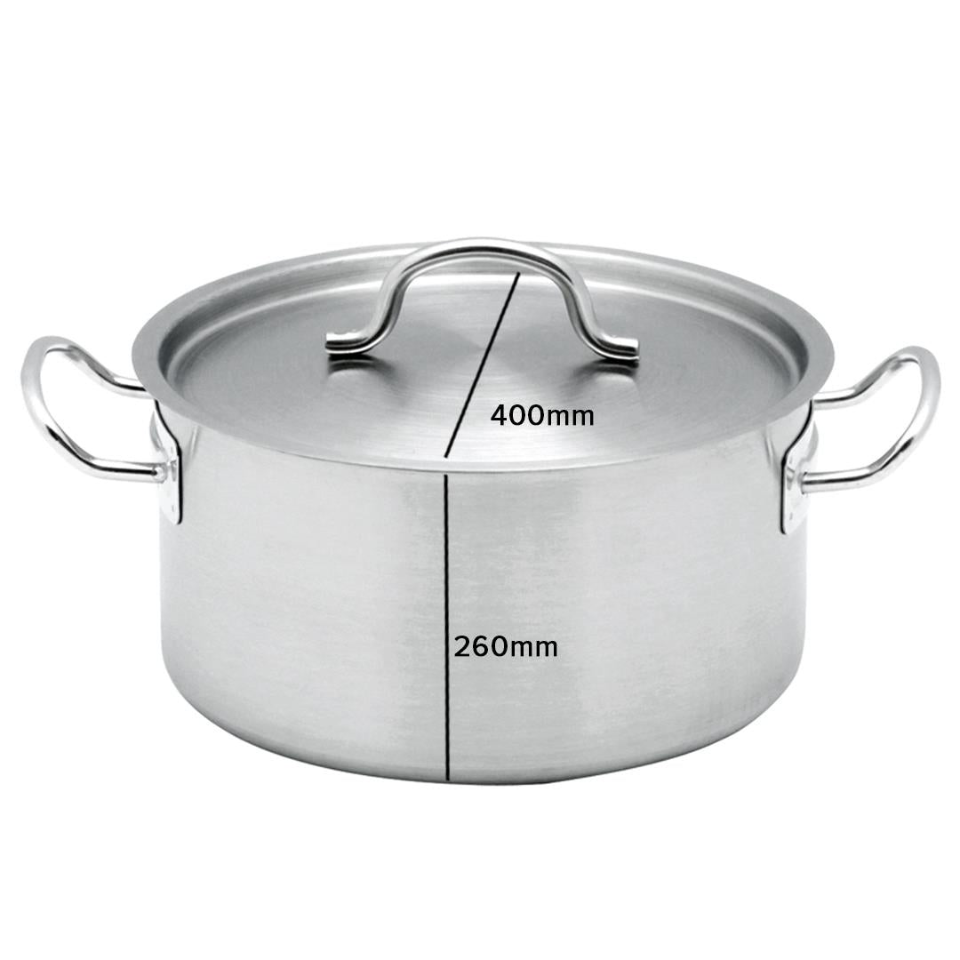 Stainless Steel Wide Stockpot