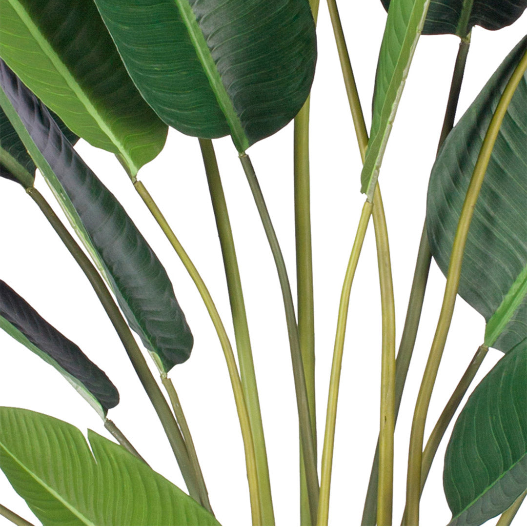 Artificial Birds of Paradise Plant