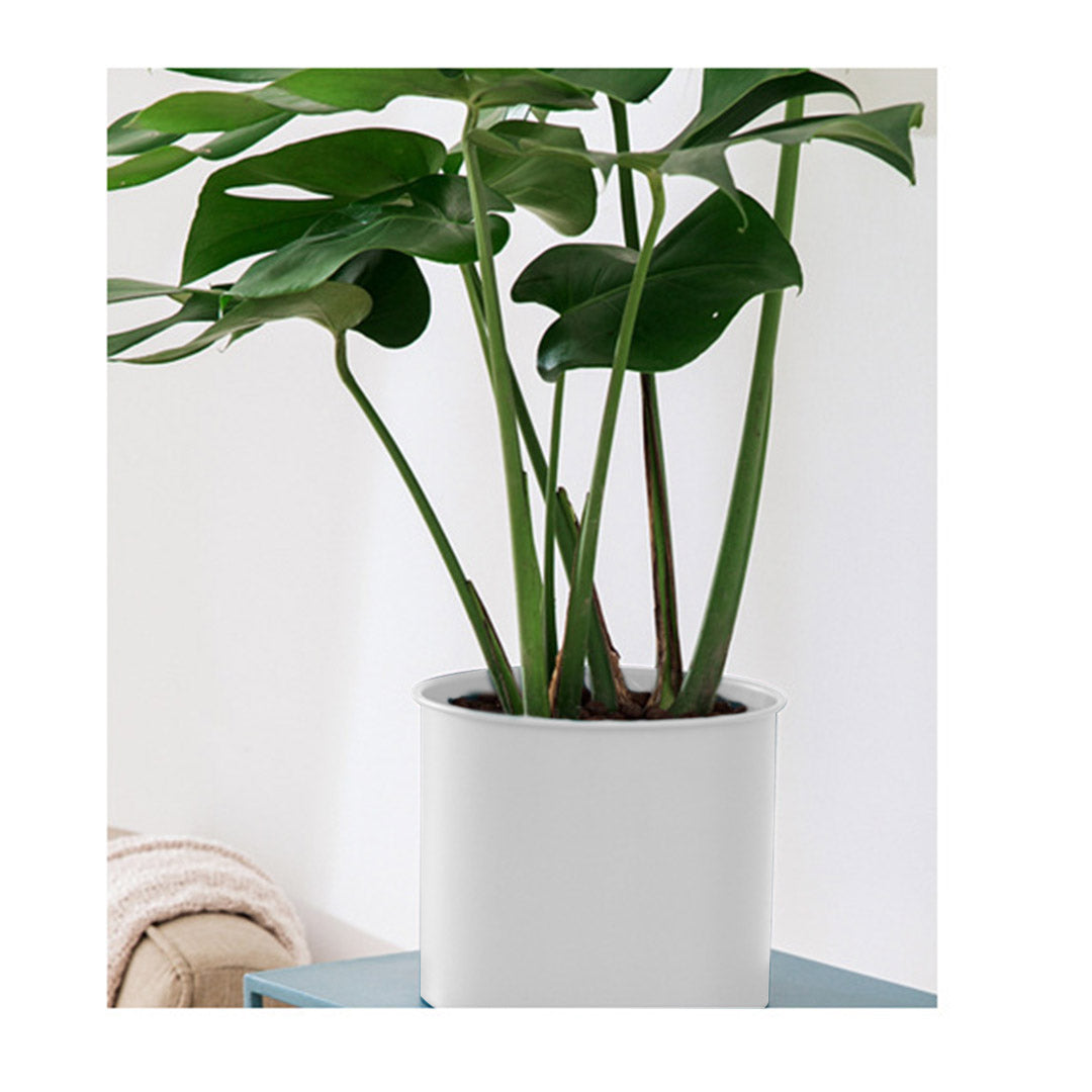 Tripod Pot Plant Stand