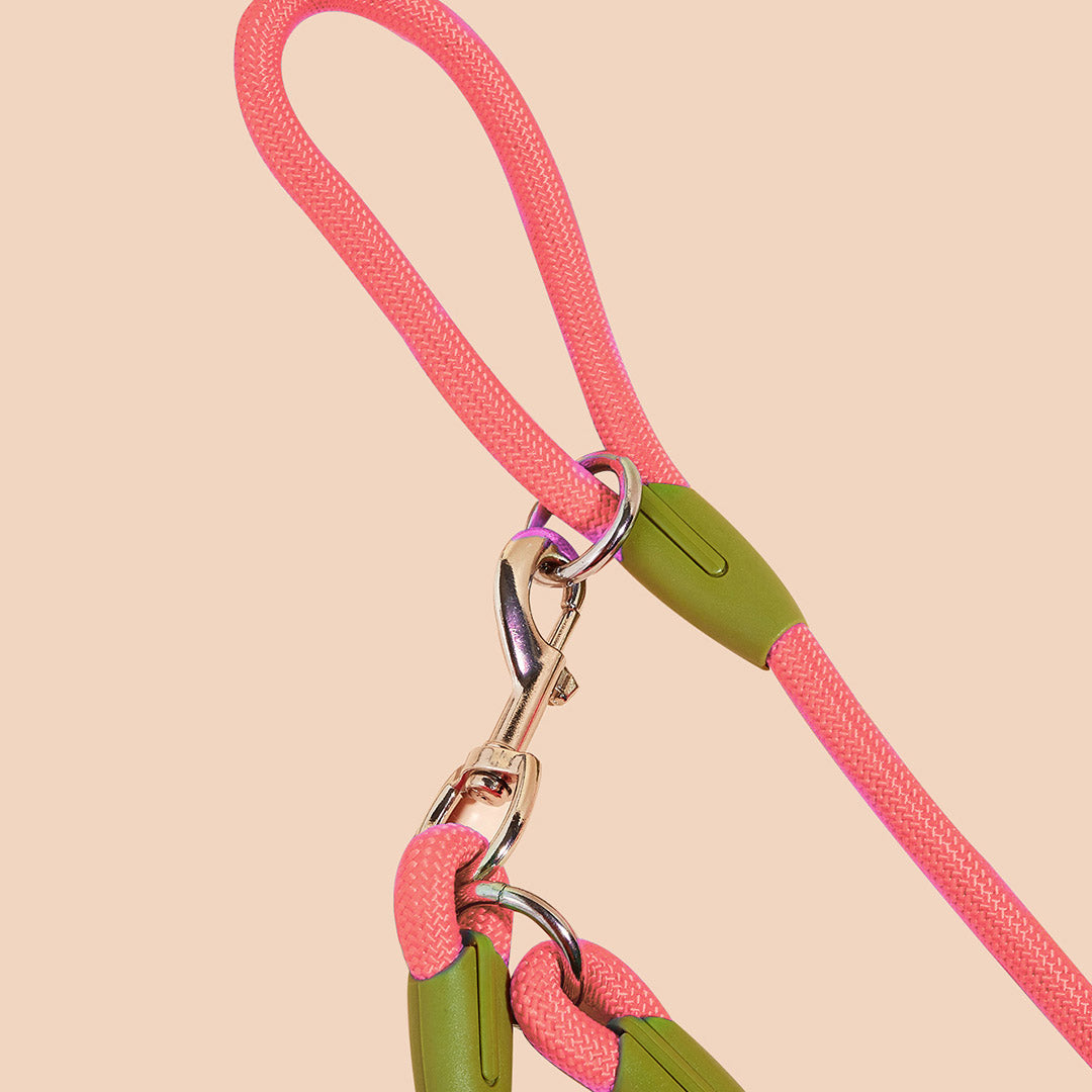 Crossbody Pet Leash