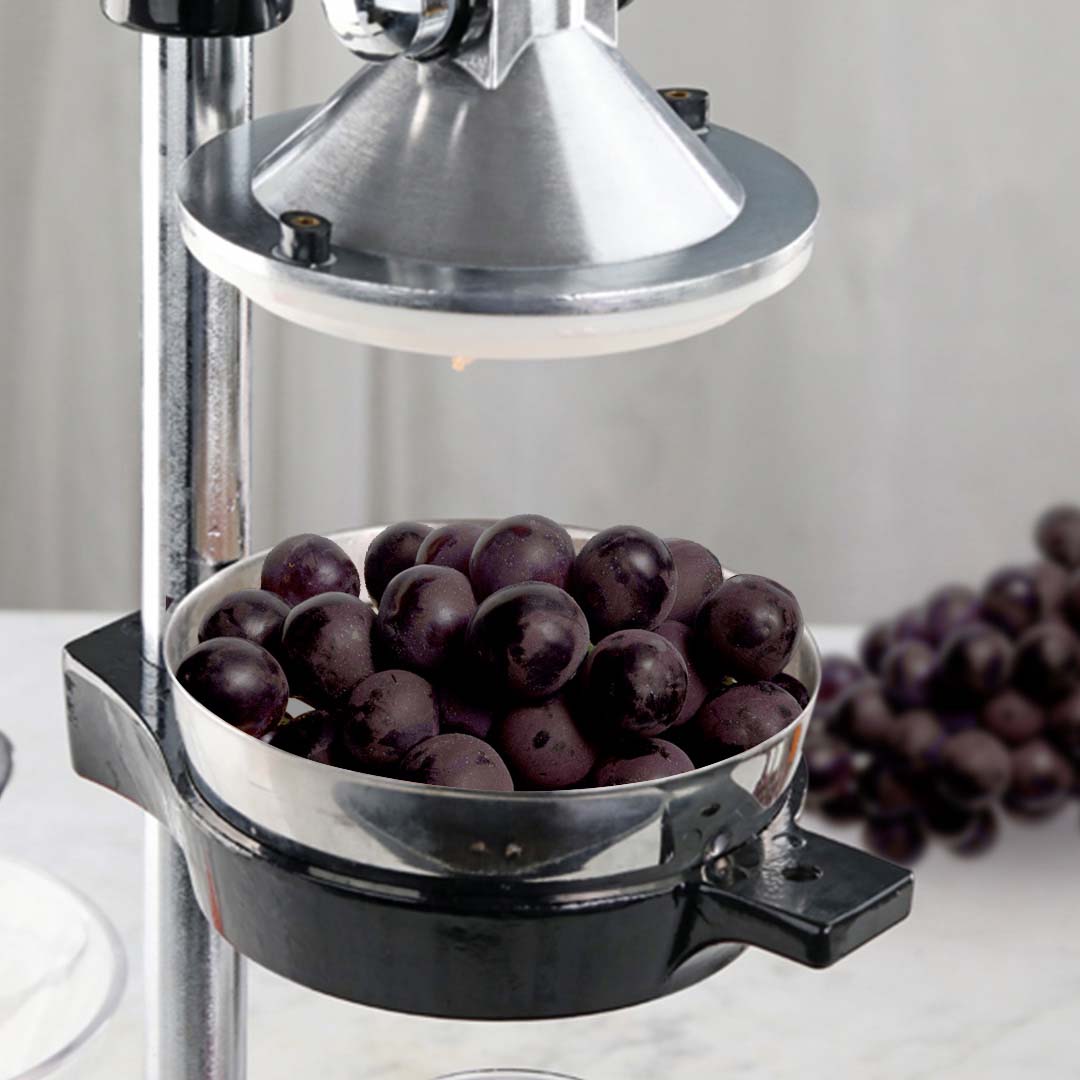 Manual Juicer Extractor