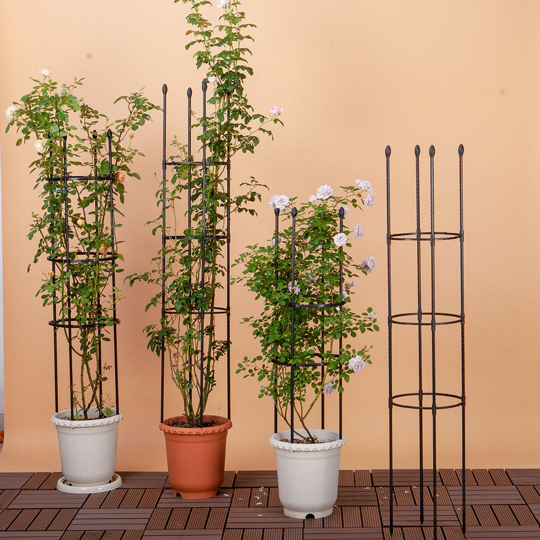 Plant Frame Trellis