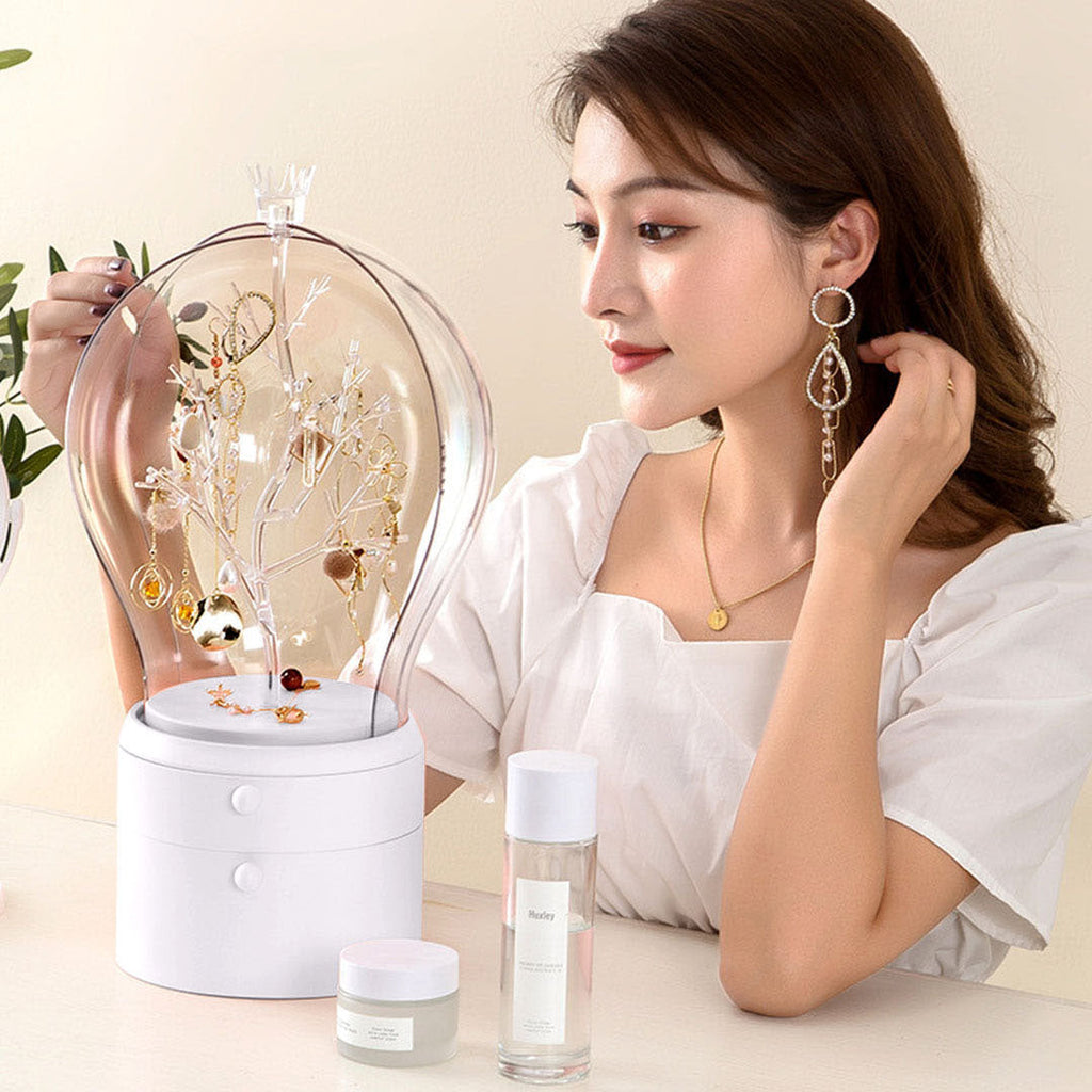 Jewelry Storage Organiser