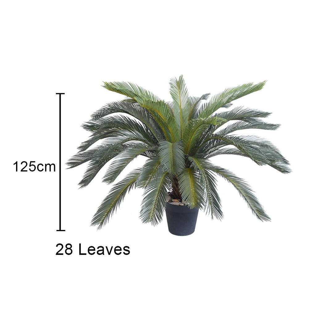 Artificial Cycas Revoluta