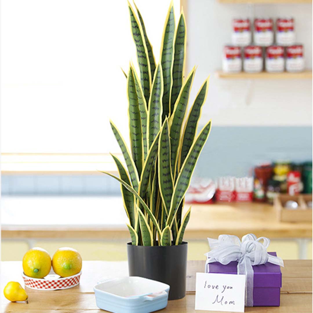 SOGA 4X 50cm Artificial Indoor Yellow Edge Tiger Piran Fake Decoration Tree Flower Pot Plant