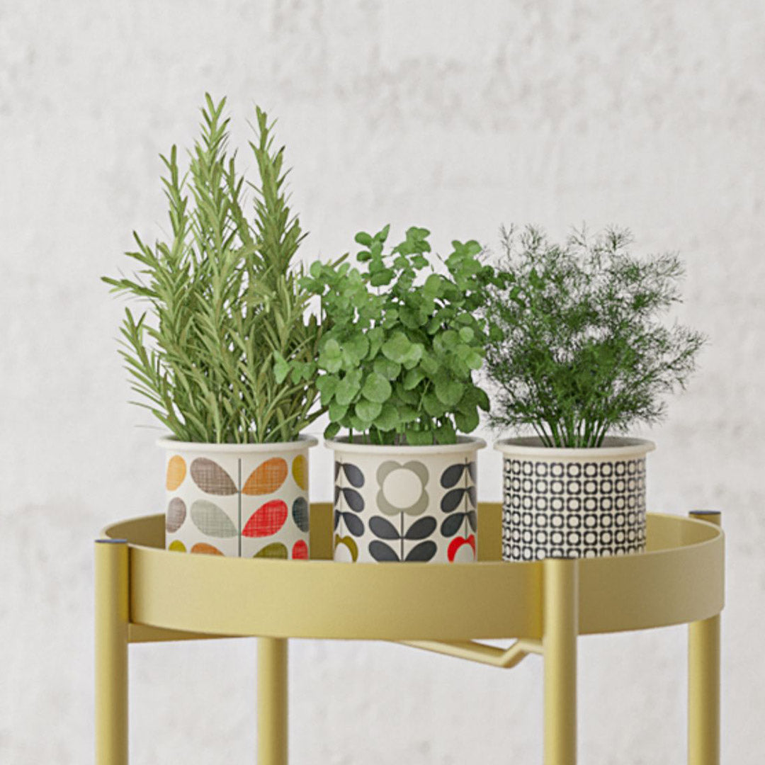 2 Layer Plant Stand