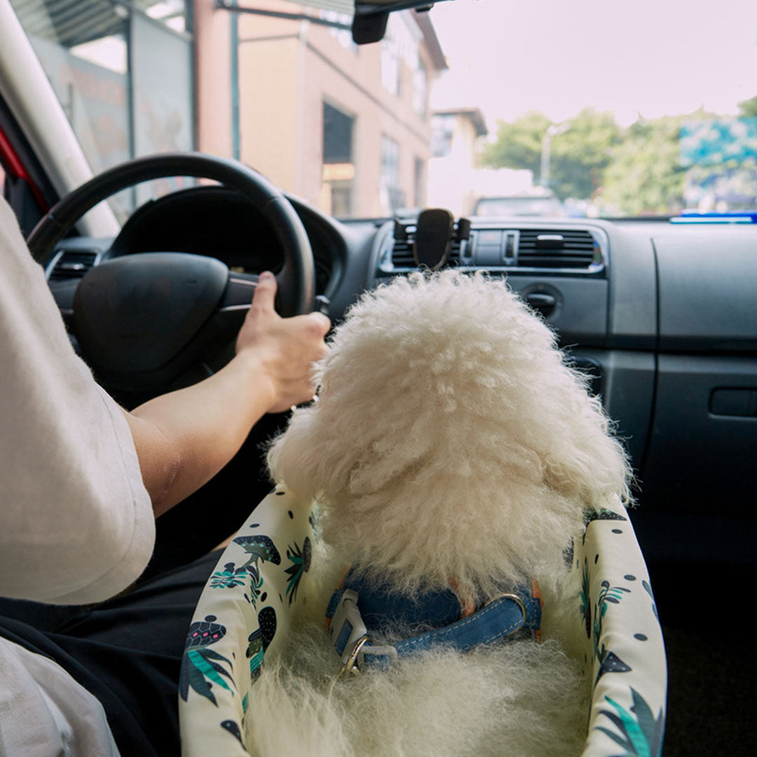 Car Pet Bag