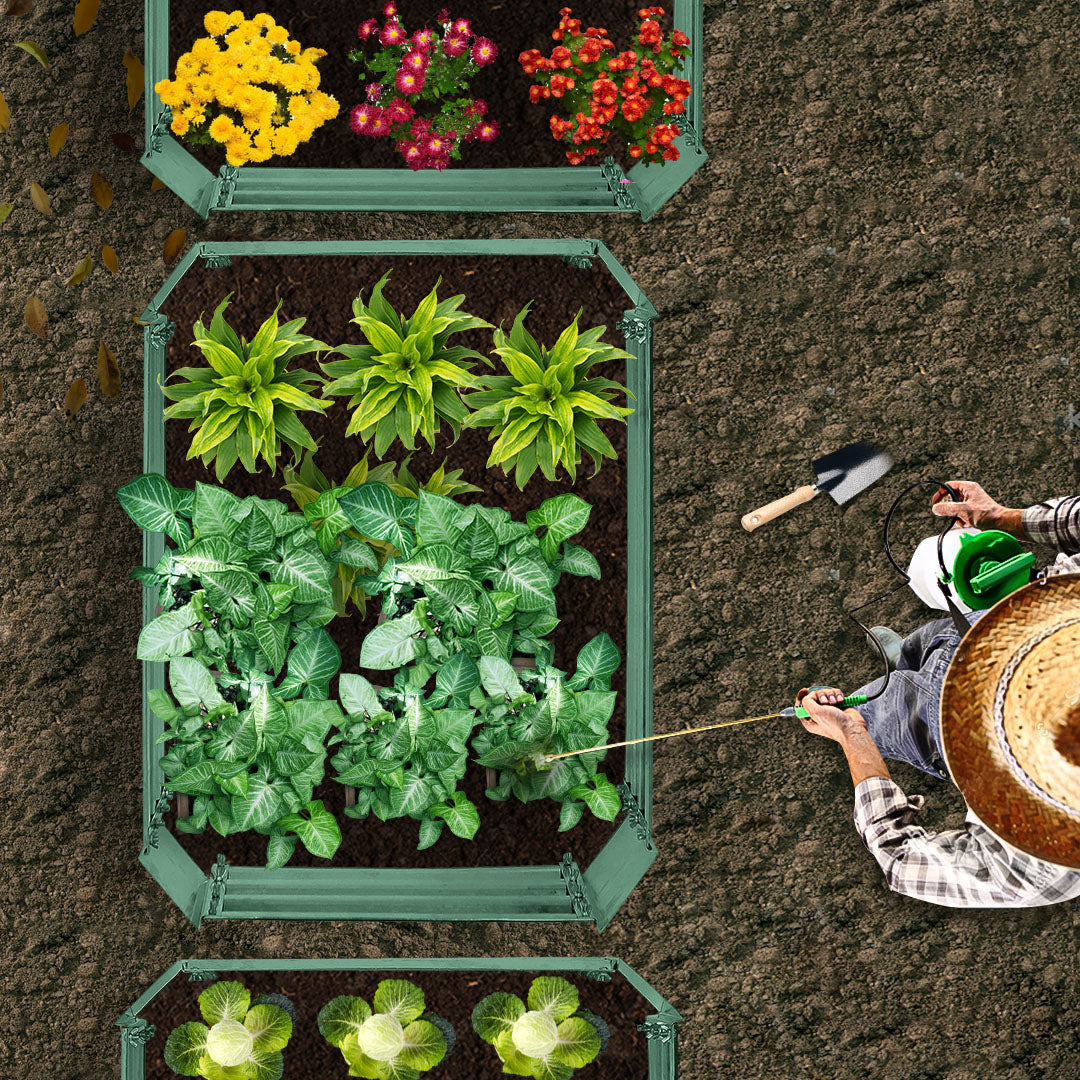 Green Raised Garden Bed
