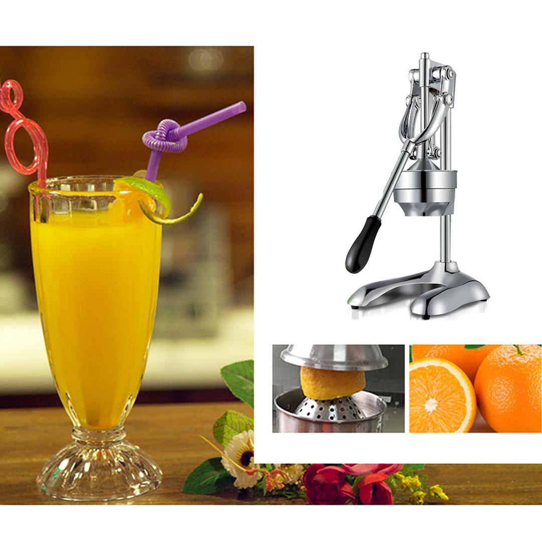 Silver Press Juice Extractor